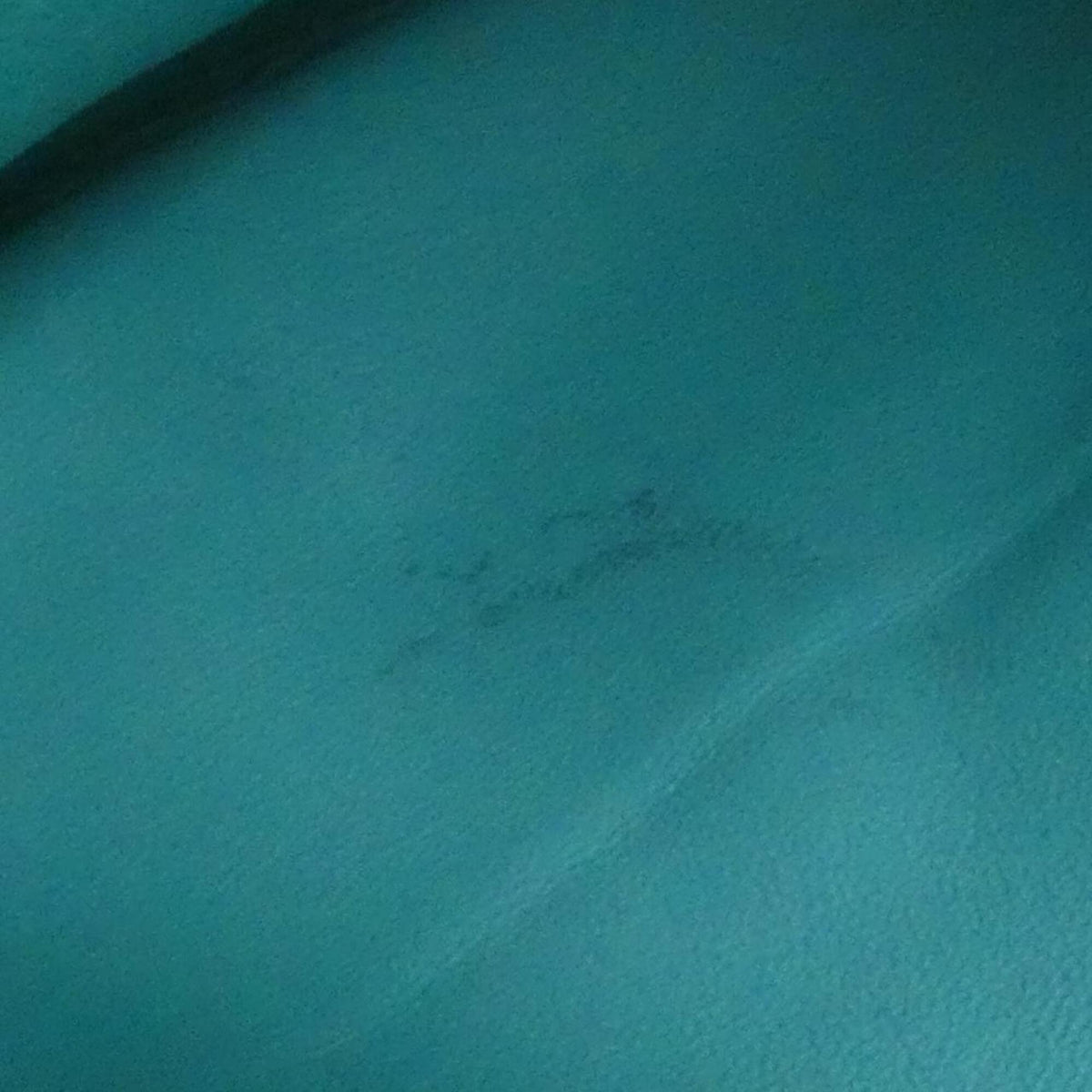 Tiffany Tiffany Blue Leather Handbag (Pre-Owned)
