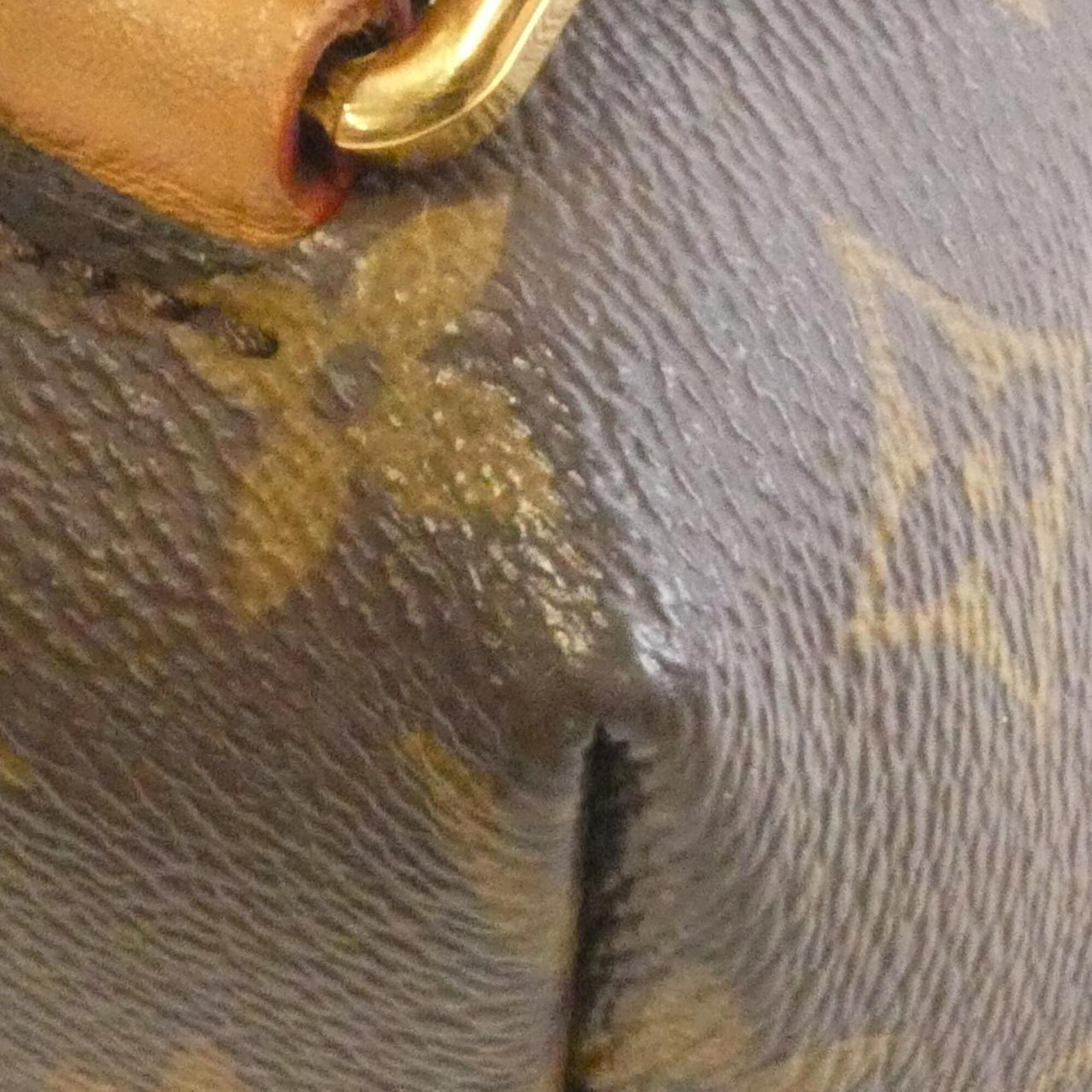 Louis Vuitton Marron Monogram Monogram Backpack (Pre-Owned)