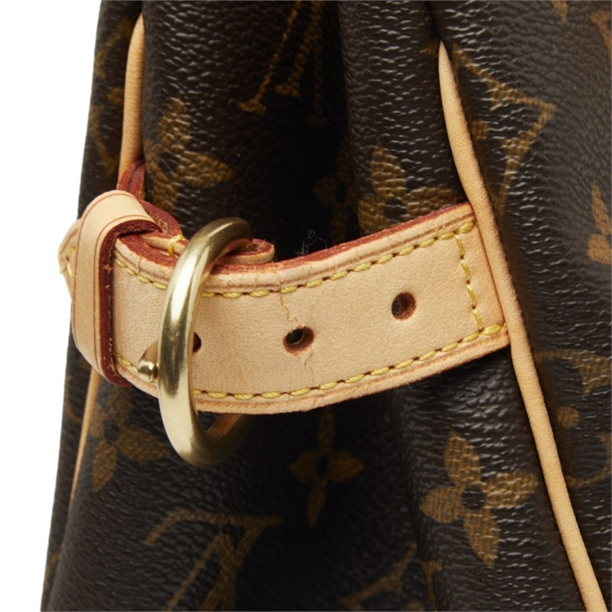 Louis Vuitton Brown Pvc Leather Handbag (Pre-Owned)