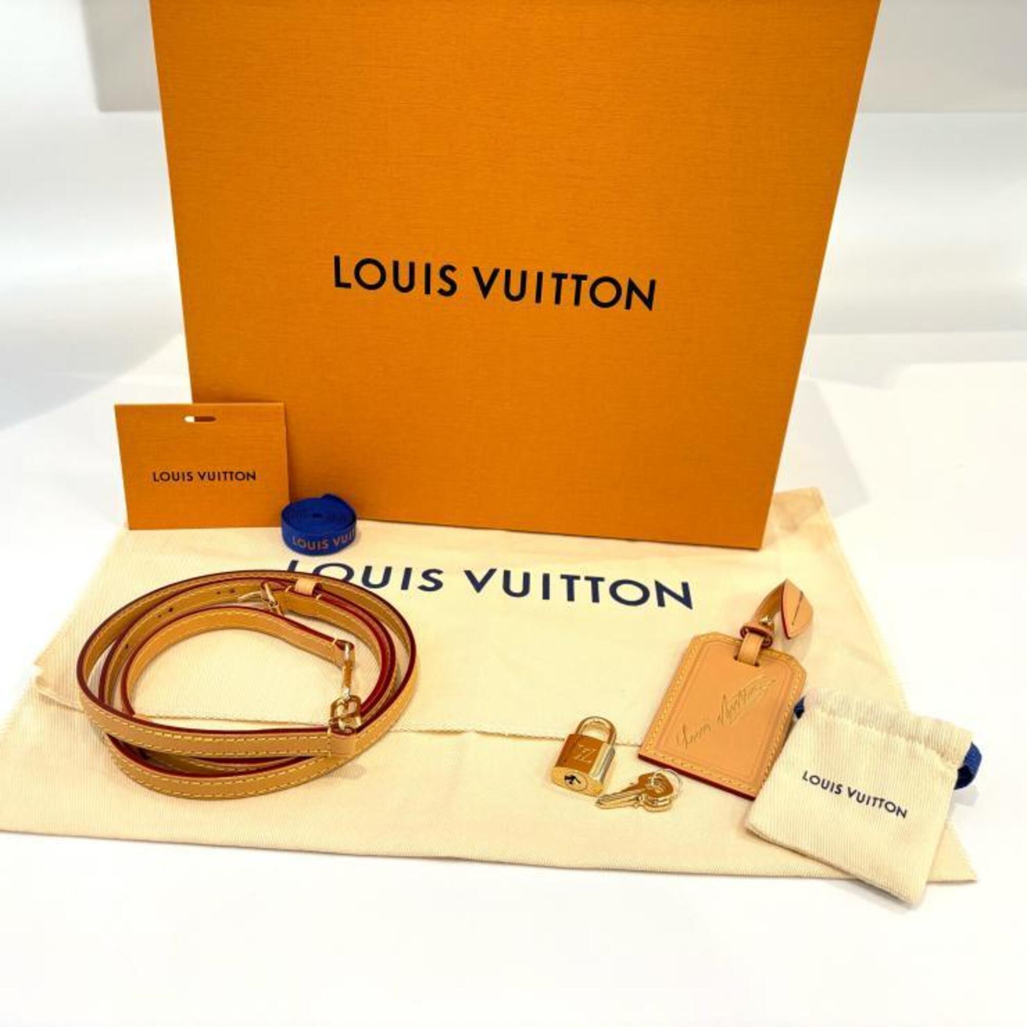 Louis Vuitton Blue Brown Handbag (Pre-Owned)