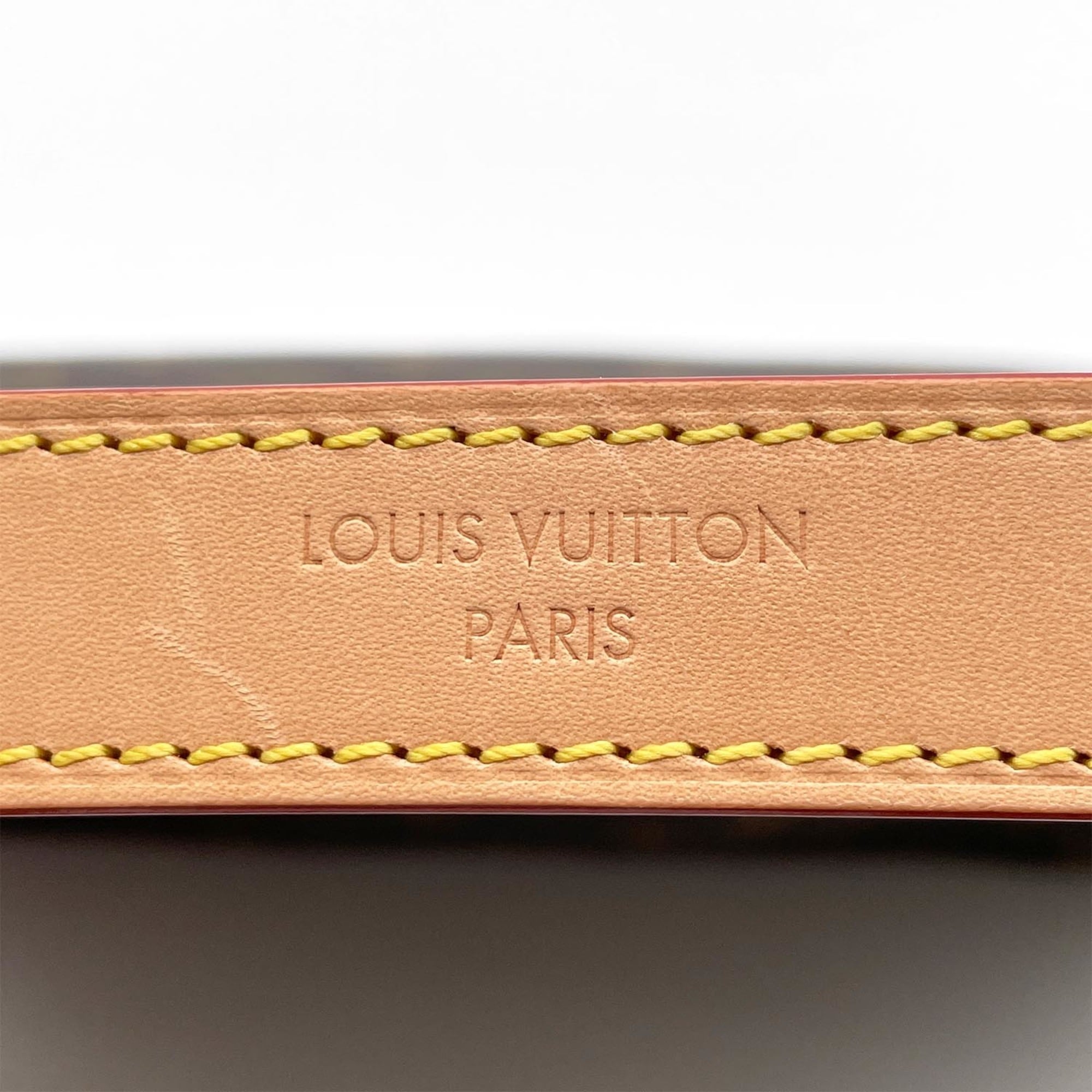 Louis Vuitton Beige Brown Pvc Leather Handbag (Pre-Owned)