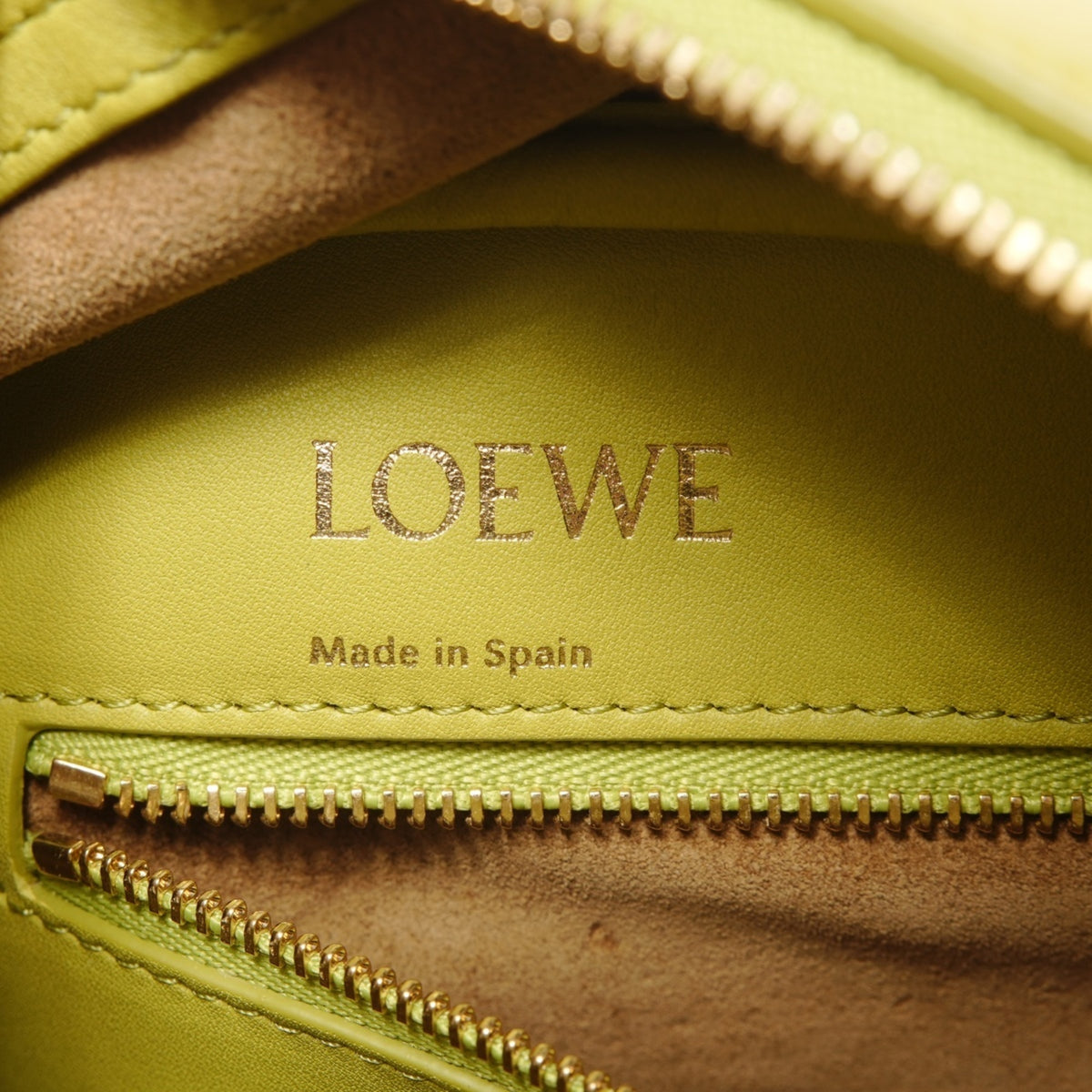 Loewe Amazona Green Leather Handbag (Pre-Owned)