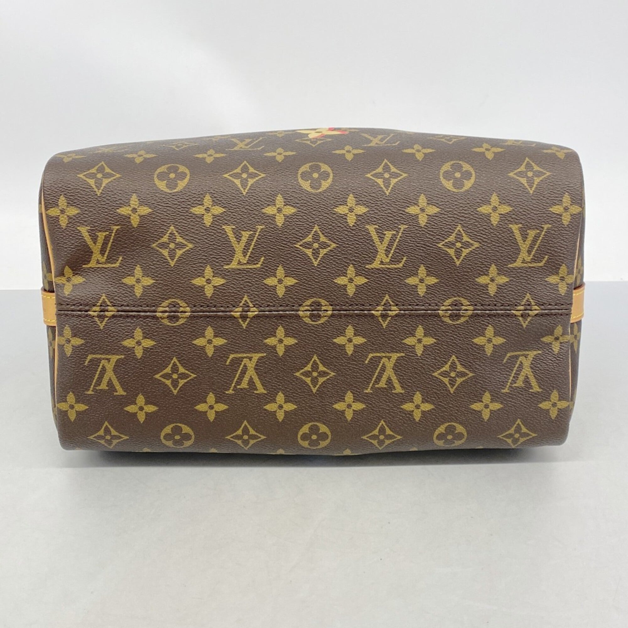 Louis Vuitton Brown Handbag (Pre-Owned)