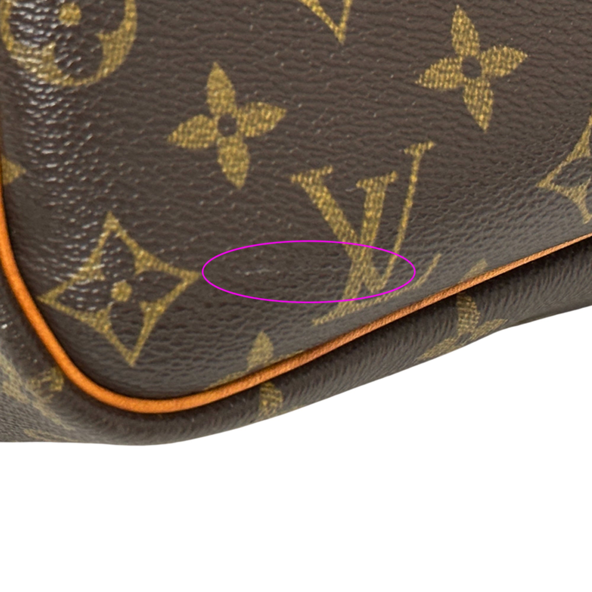 Louis Vuitton Brown Monogram Canvas Handbag (Pre-Owned)