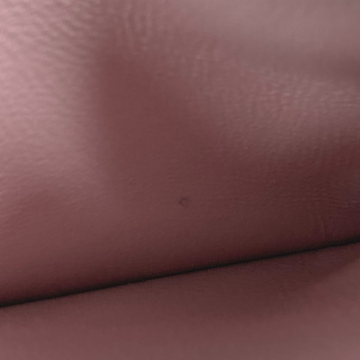 Balenciaga Pink Leather Coin Purse/Coin Case (Pre-Owned)