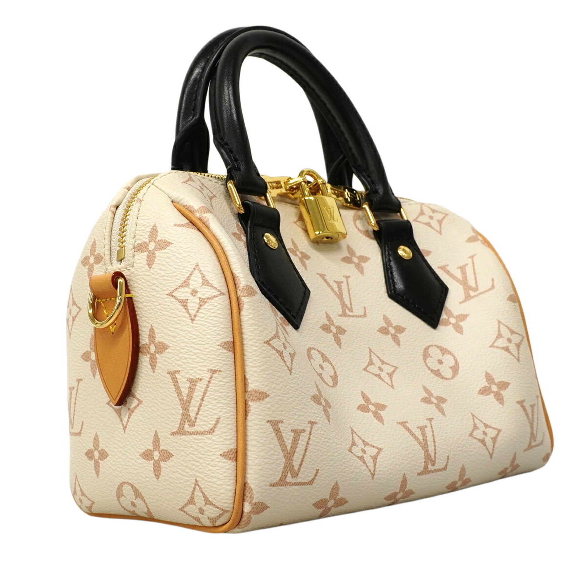 Louis Vuitton Beige Black Handbag (Pre-Owned)