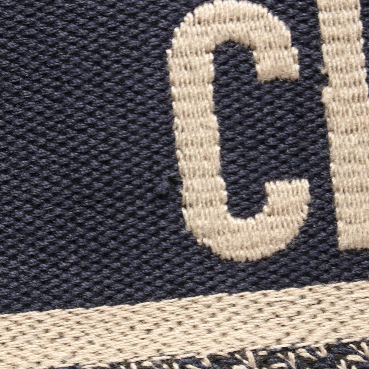 Christian Dior Beige Navy Canvas Handbag Tote Bag (Pre-Owned)