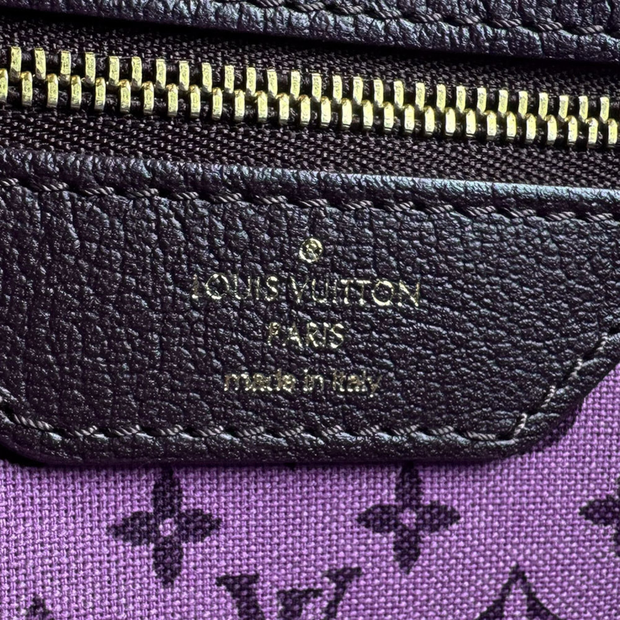 Louis Vuitton Multi-Color Purple Canvas Leather Handbag (Pre-Owned)
