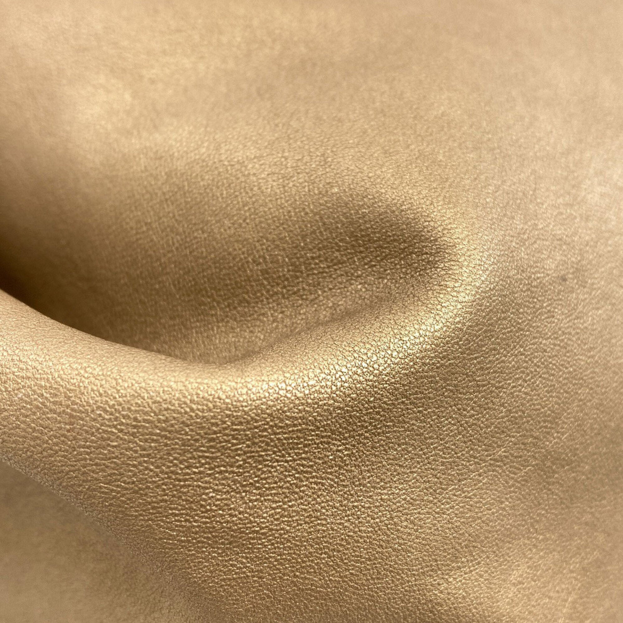 Loewe Gold Leather Handbag (Pre-Owned)