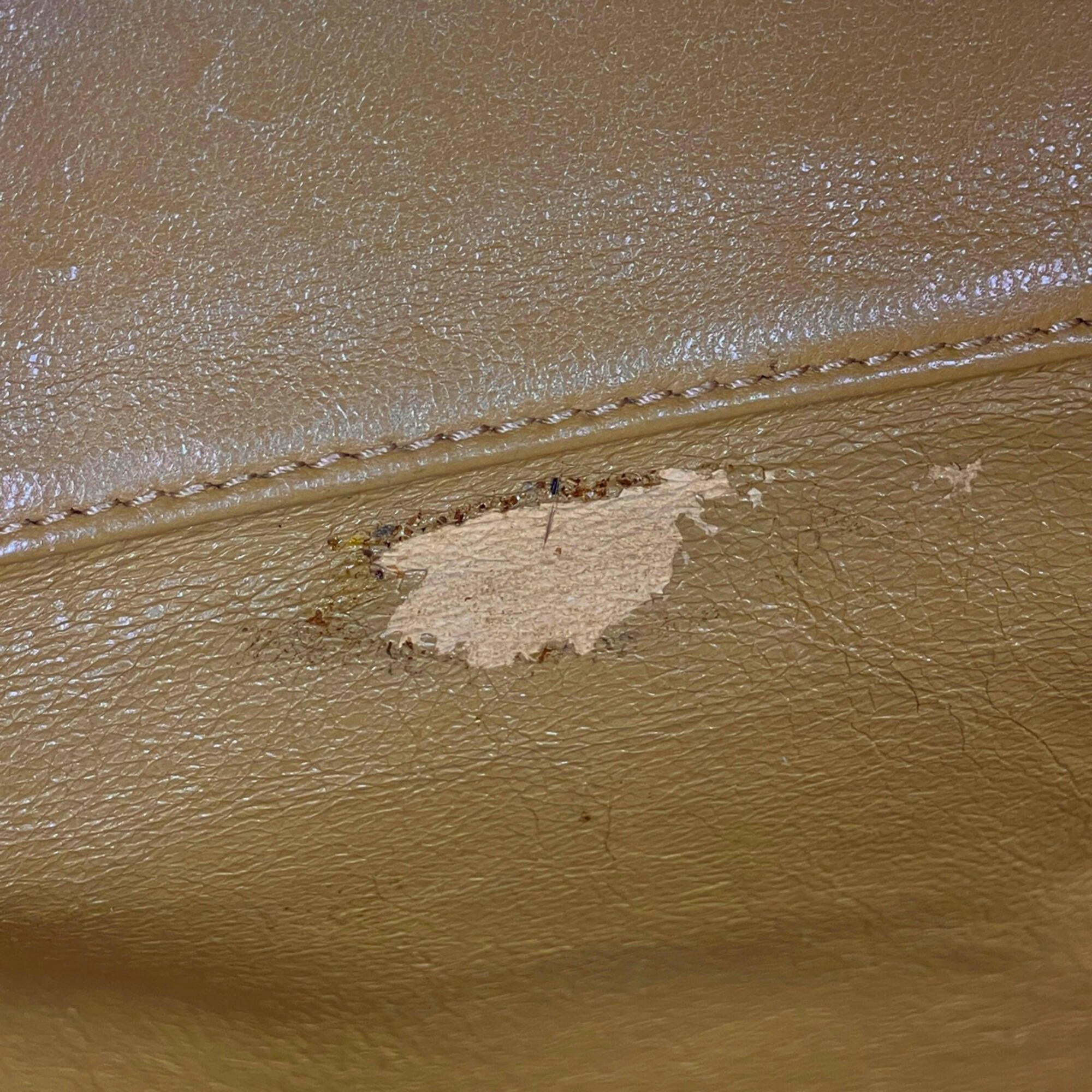 Chanel Beige Grained Calfskin Handbag (Pre-Owned)