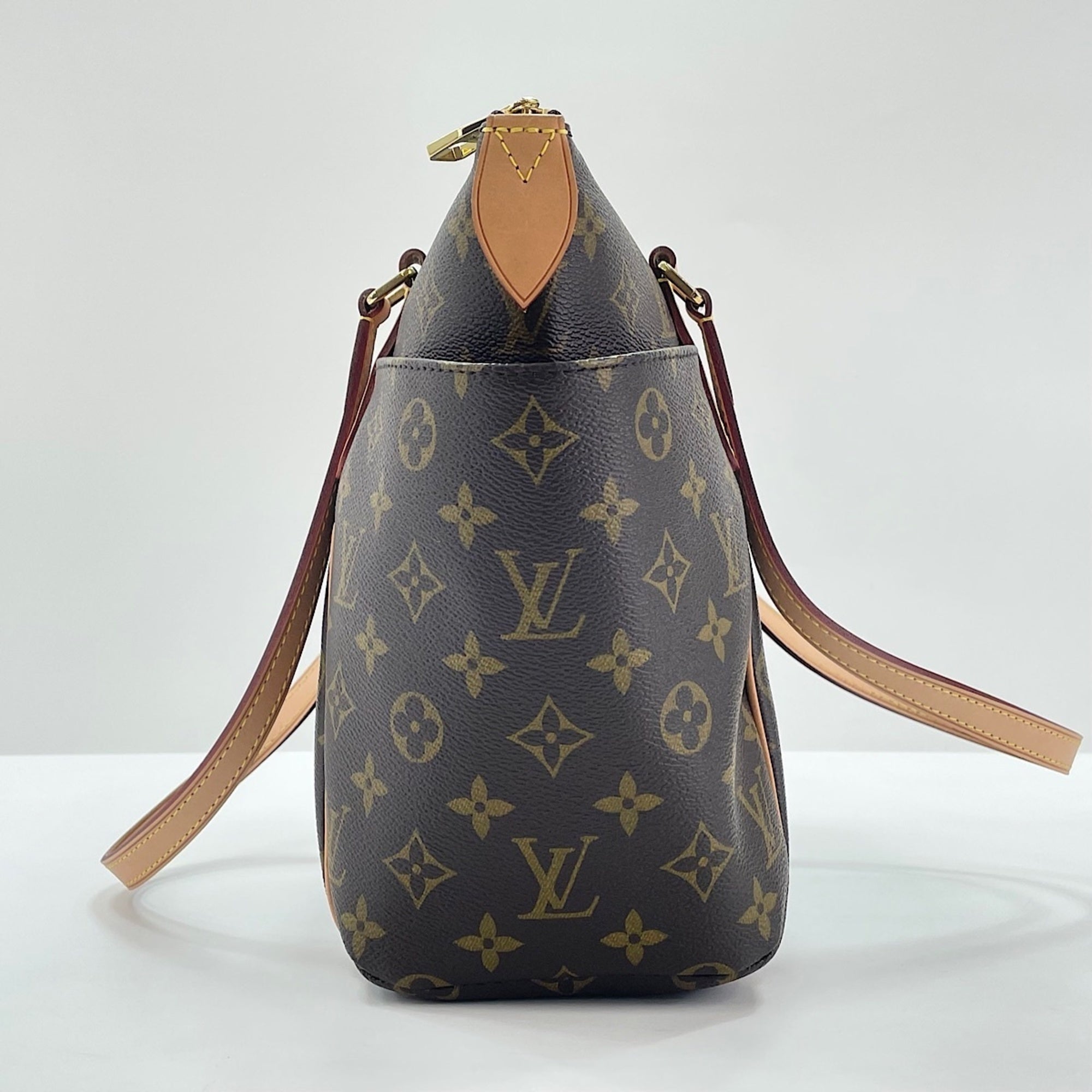 Louis Vuitton Brown Tote Bag (Pre-Owned)