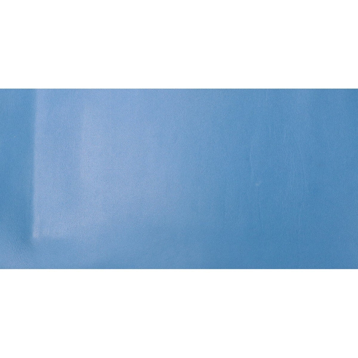 Anya Hindmarch Blue Leather Clutch Bag (Pre-Owned)