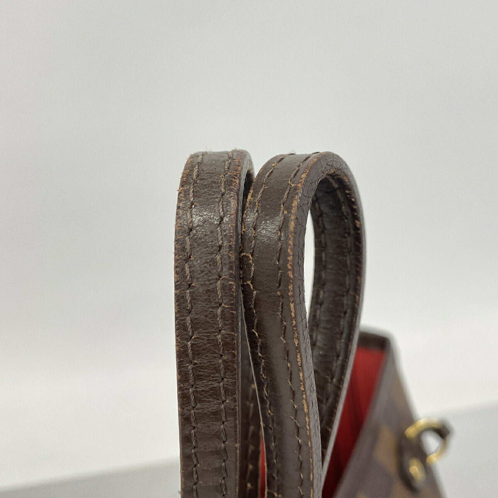 Louis Vuitton Ebene Tote Bag (Pre-Owned)