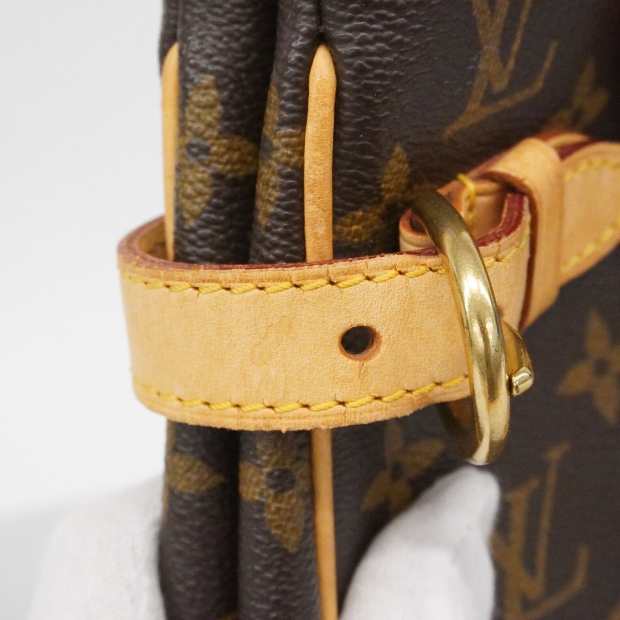 Louis Vuitton Brown Tote Bag (Pre-Owned)