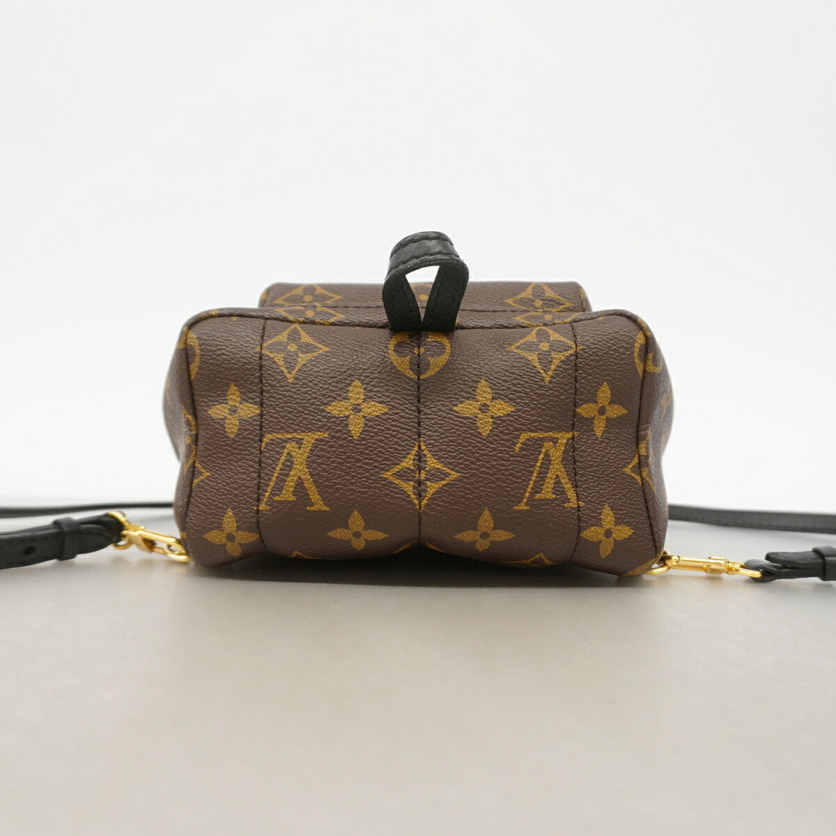 Louis Vuitton Brown Backpack (Pre-Owned)