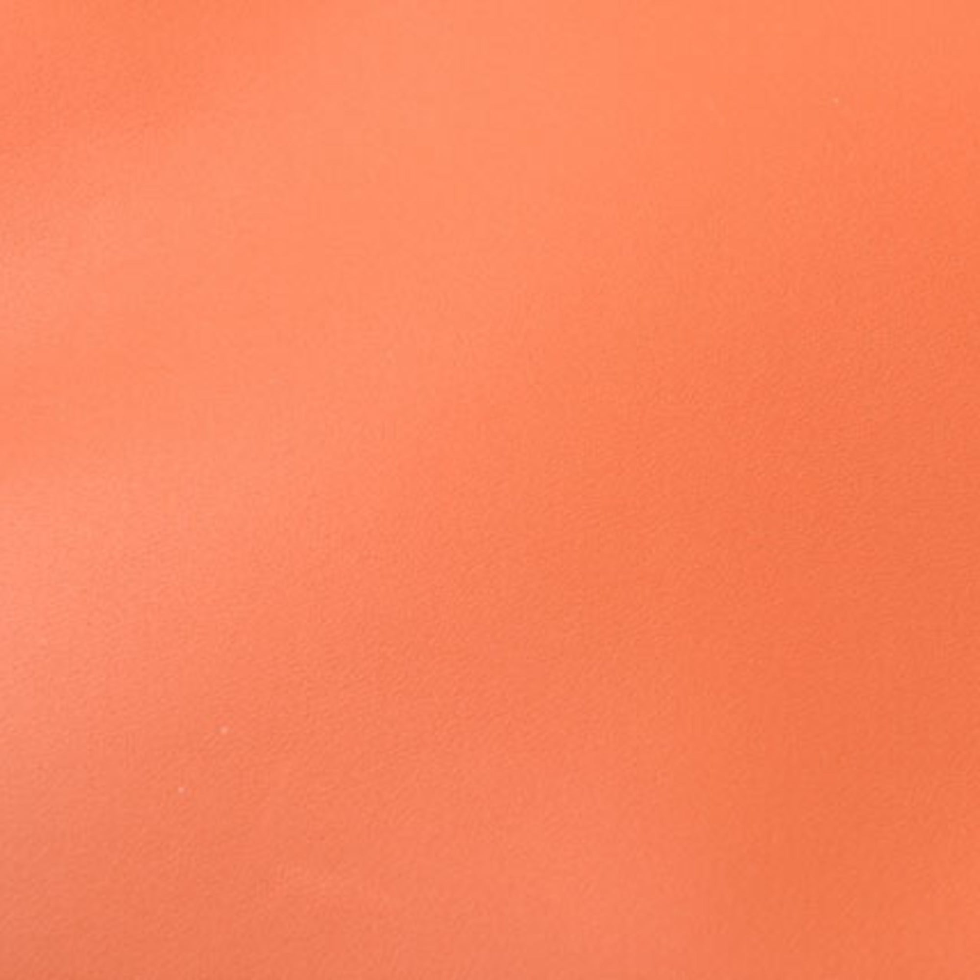 Loewe Coral Color Leather Clutch Bag (Pre-Owned)