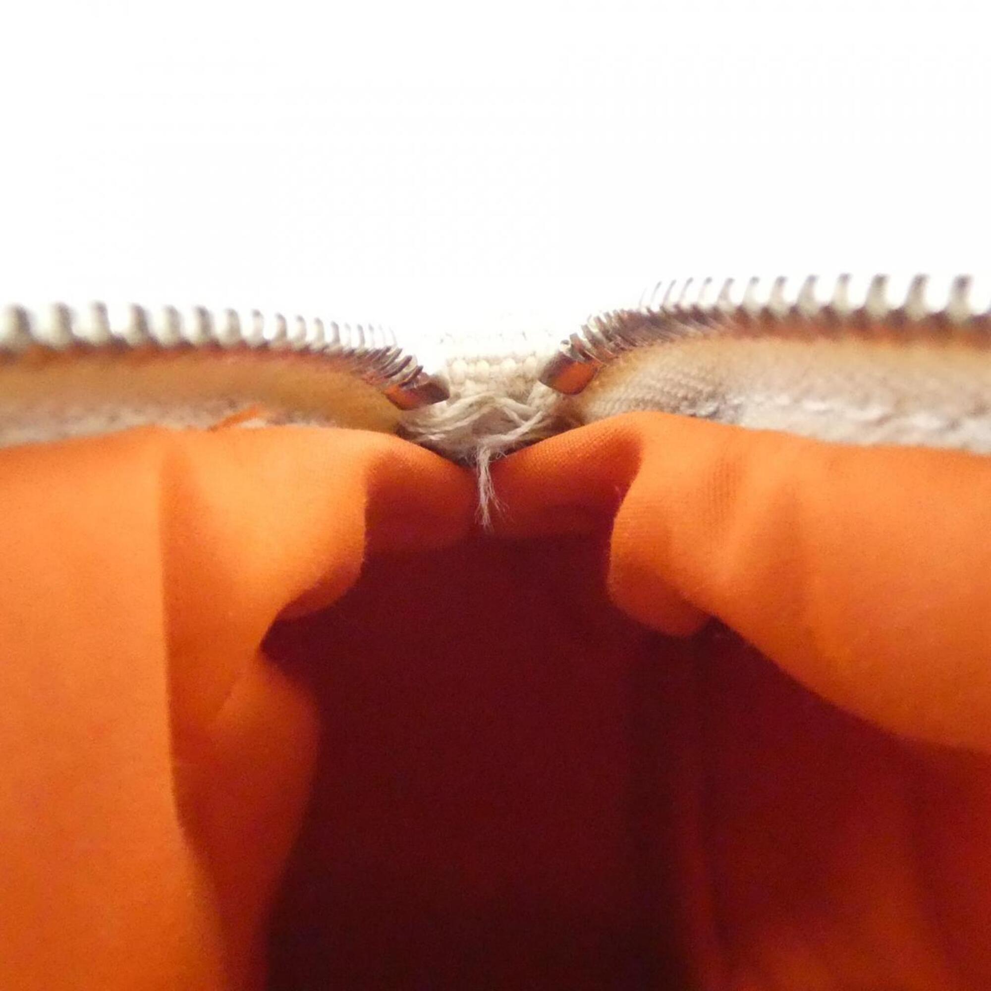Hermes Natural Canvas Handbag Pouch (Pre-Owned)