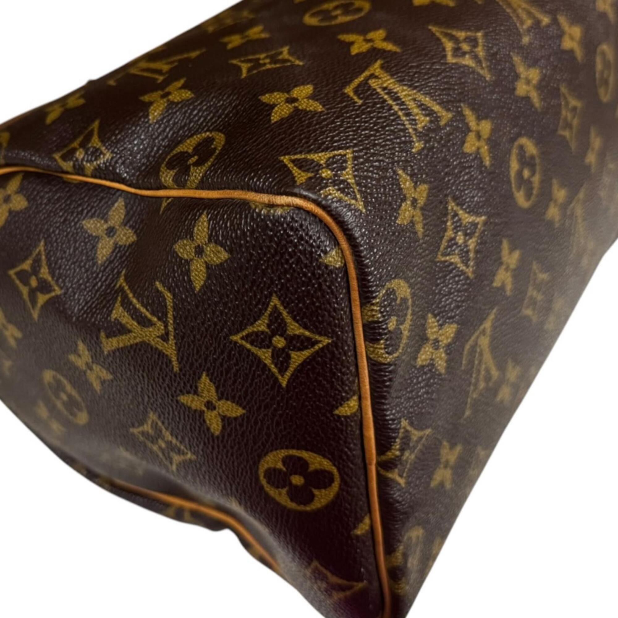 Louis Vuitton Brown Monogram Canvas Handbag (Pre-Owned)