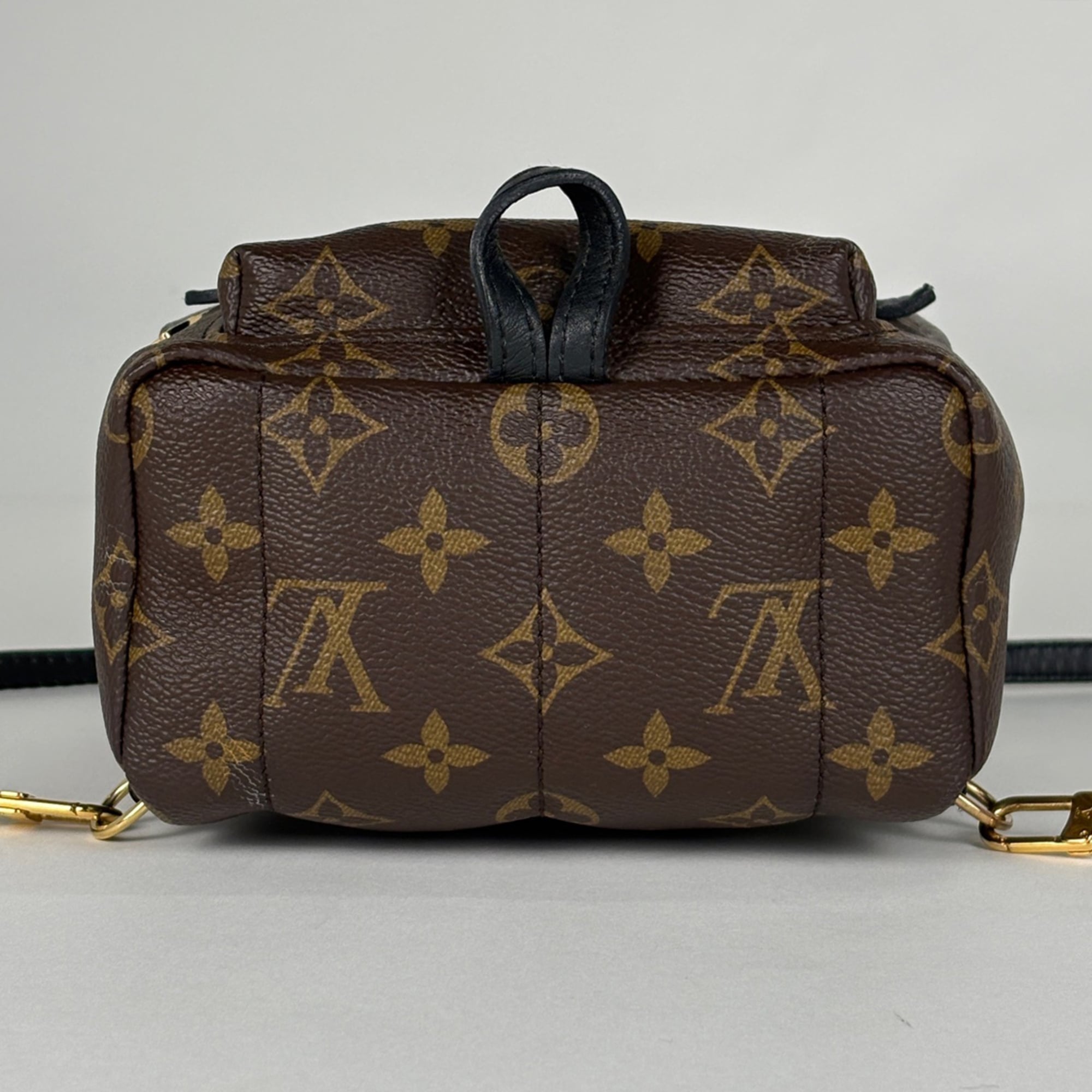 Louis Vuitton Brown Monogram Monogram Backpack (Pre-Owned)