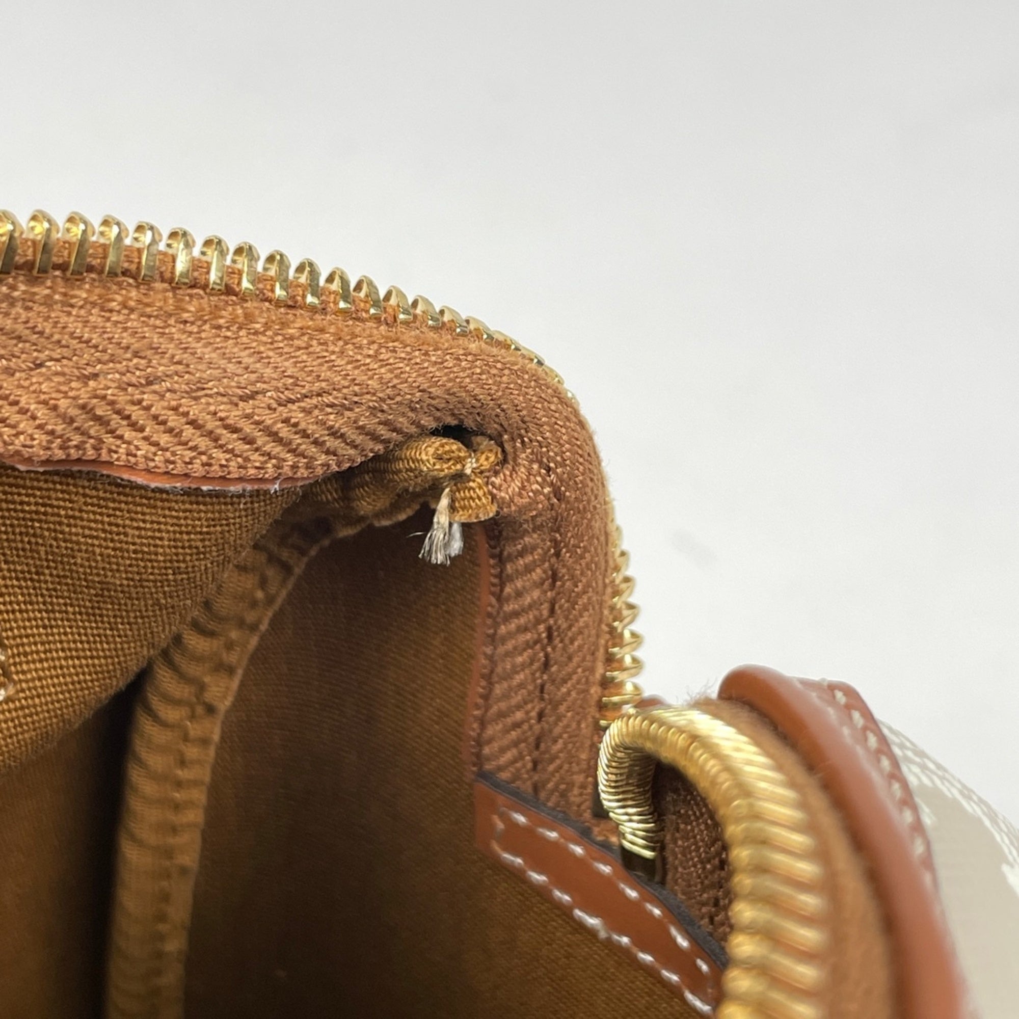 Celine Beige Brown Coated Canvas Leather Handbag (Pre-Owned)