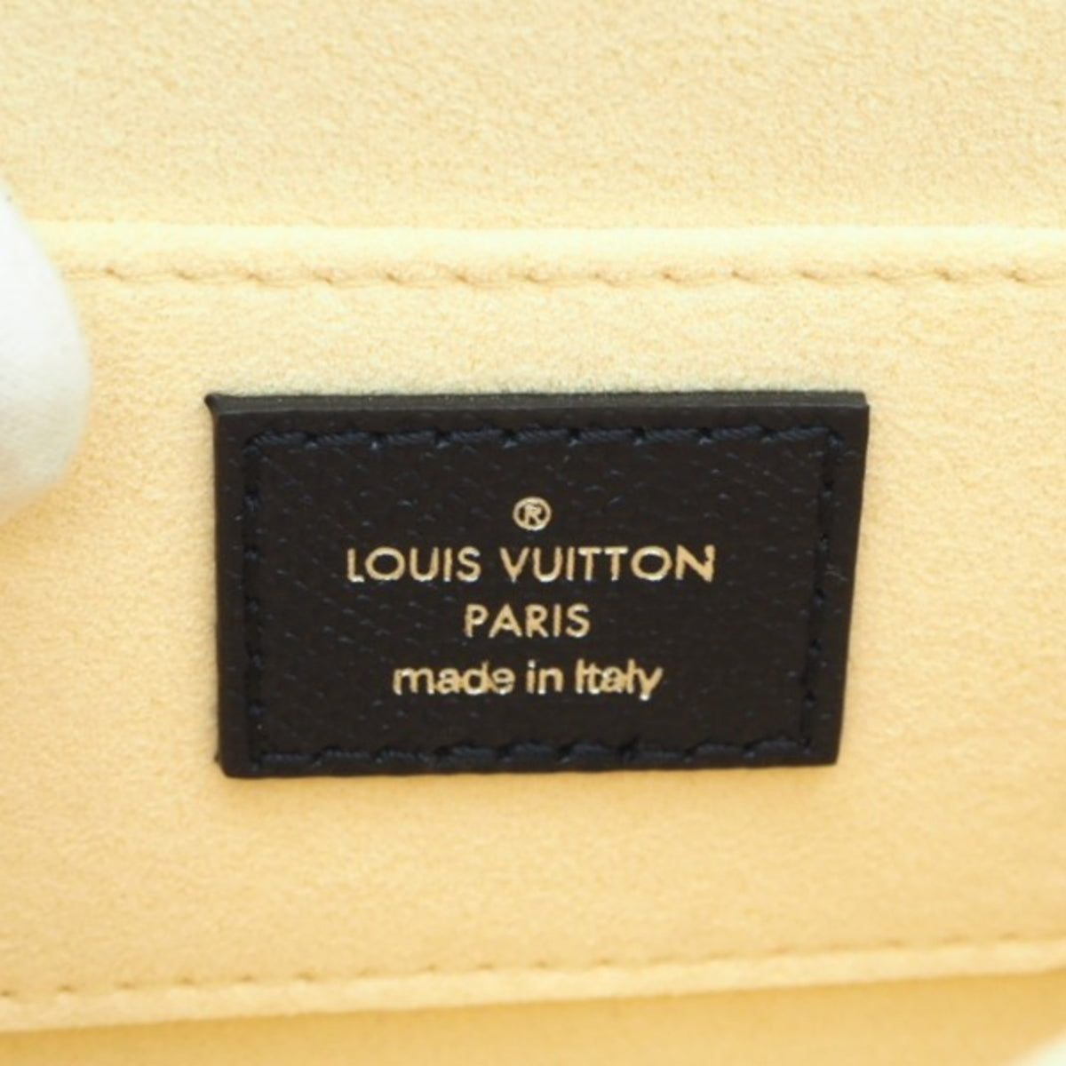 Louis Vuitton Multi-Color Leather Shoulder Bag (Pre-Owned)