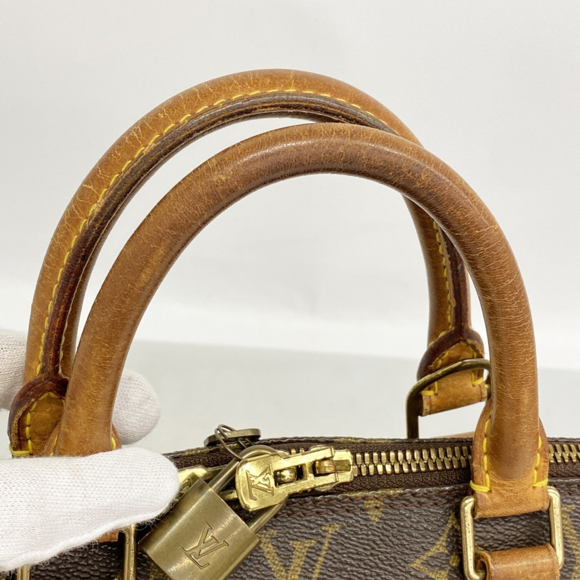 Louis Vuitton Brown Handbag (Pre-Owned)