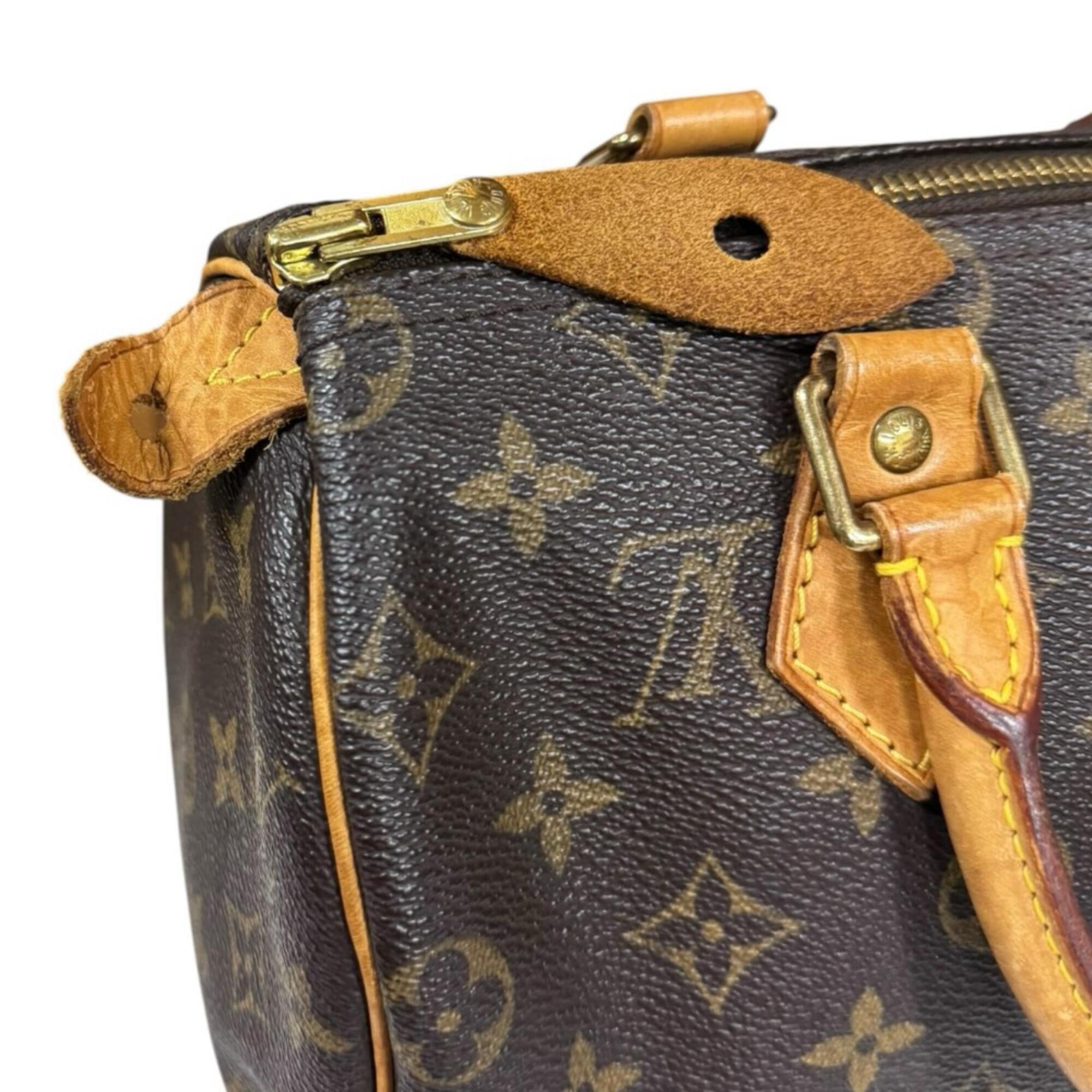 Louis Vuitton Brown Galle Monogram Or Monogram Handbag (Pre-Owned)