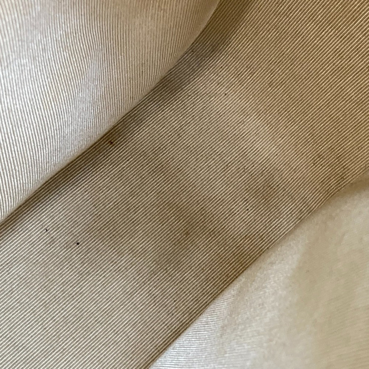 Chanel Beige Leather Tote Bag (Pre-Owned)
