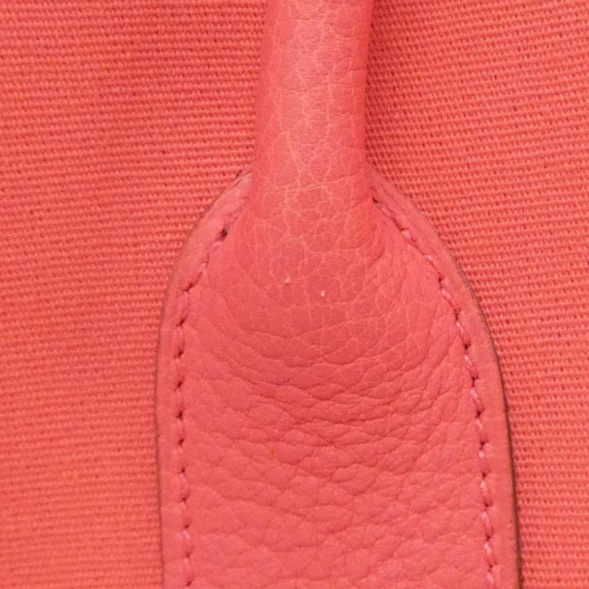 Hermes Bougainvillier Toile Officier Negonda Leather Handbag (Pre-Owned)