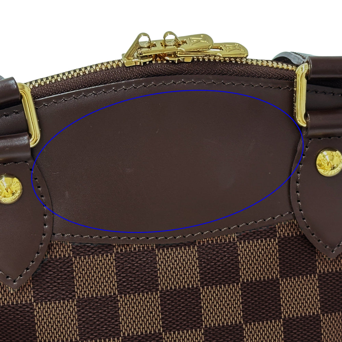 Louis Vuitton Brown Damier Canvas Ebene Damier Canvas Handbag (Pre-Owned)