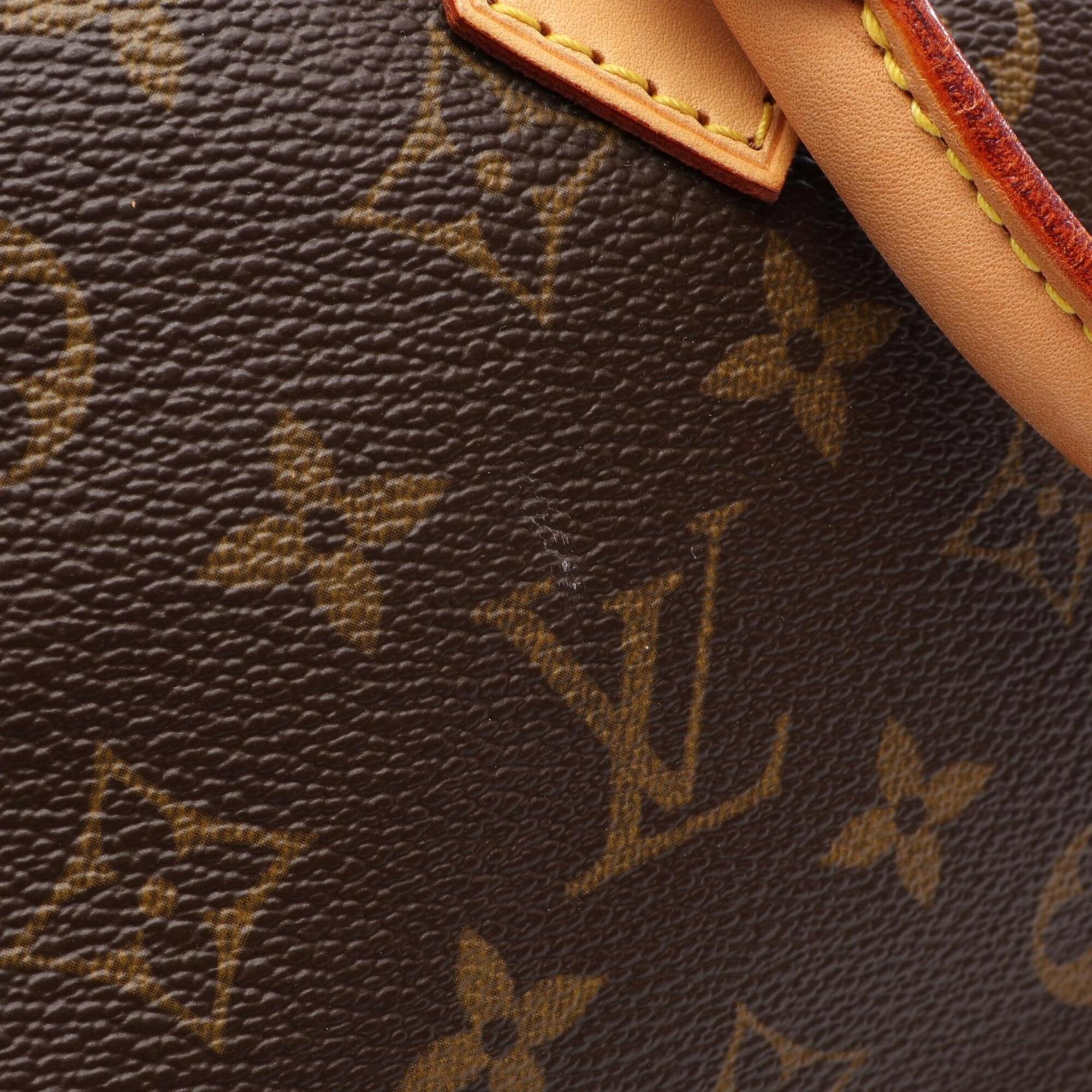 Louis Vuitton Brown Coated Canvas Monogram Leather Handbag (Pre-Owned)