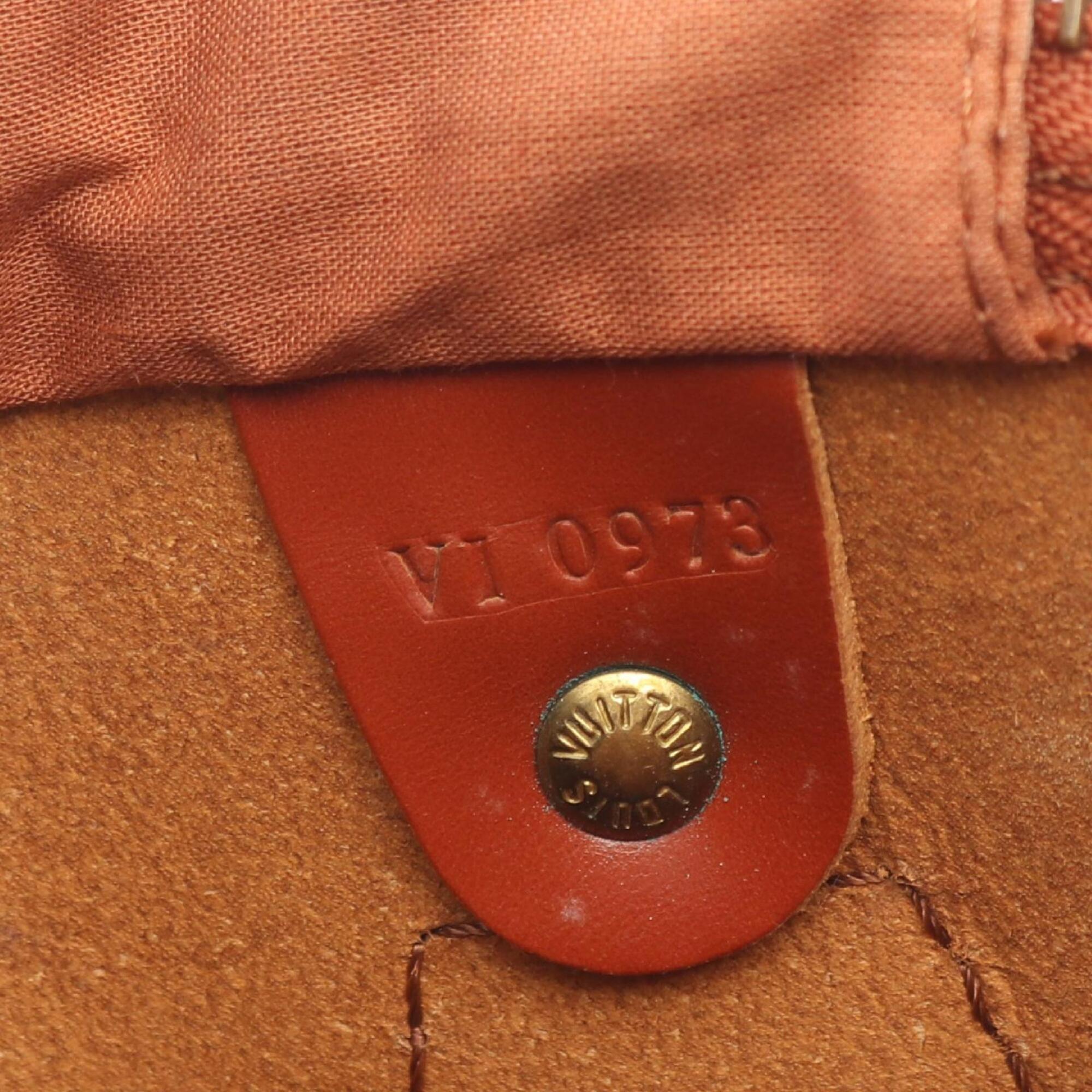 Louis Vuitton Brown Kenyan Brown Epi Leather Handbag (Pre-Owned)