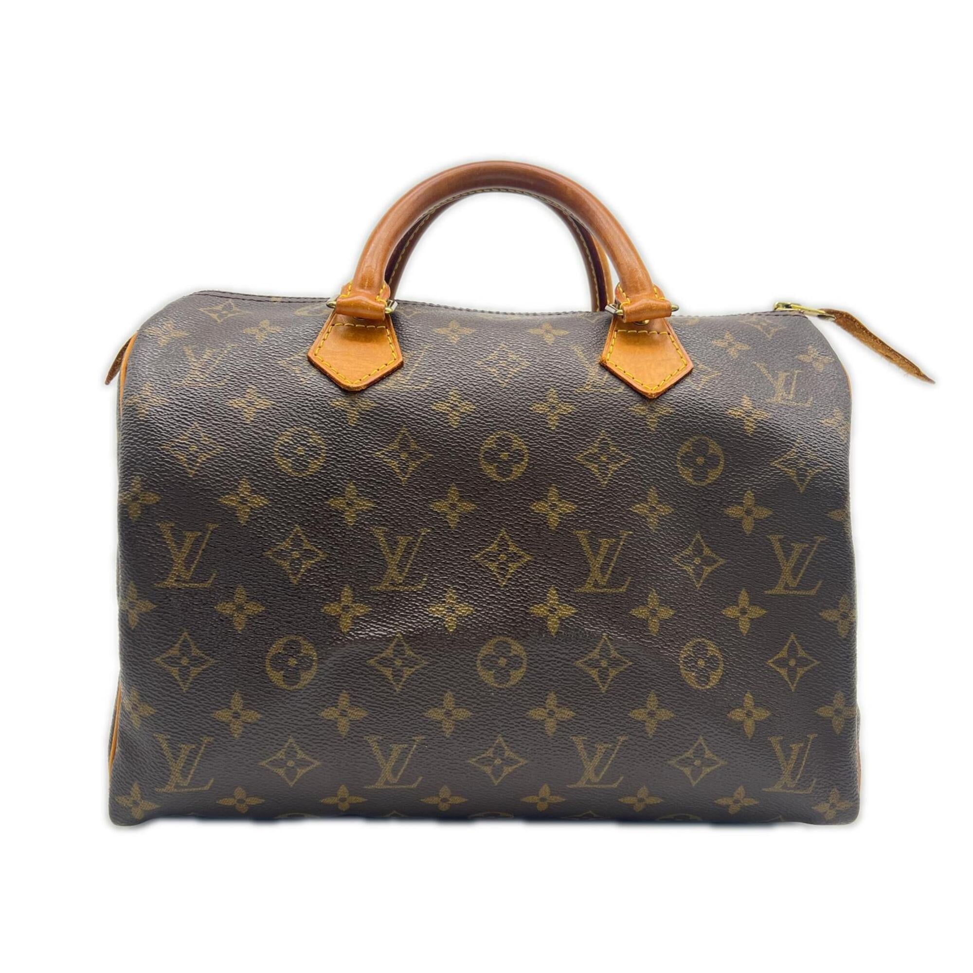 Louis Vuitton Beige Brown Coated Canvas Leather Handbag (Pre-Owned)