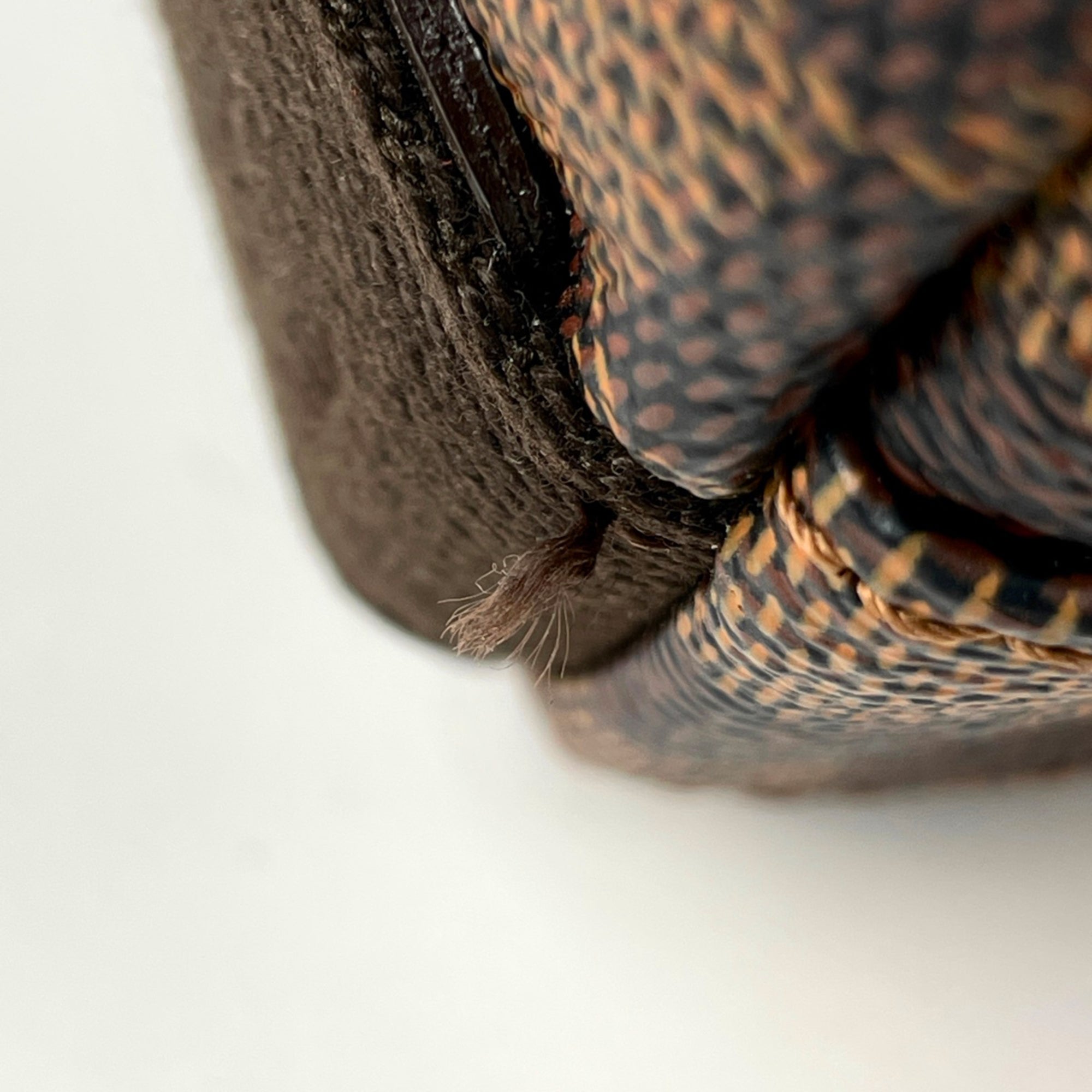 Louis Vuitton Brown Damier Canvas Damier Canvas Shoulder Bag (Pre-Owned)