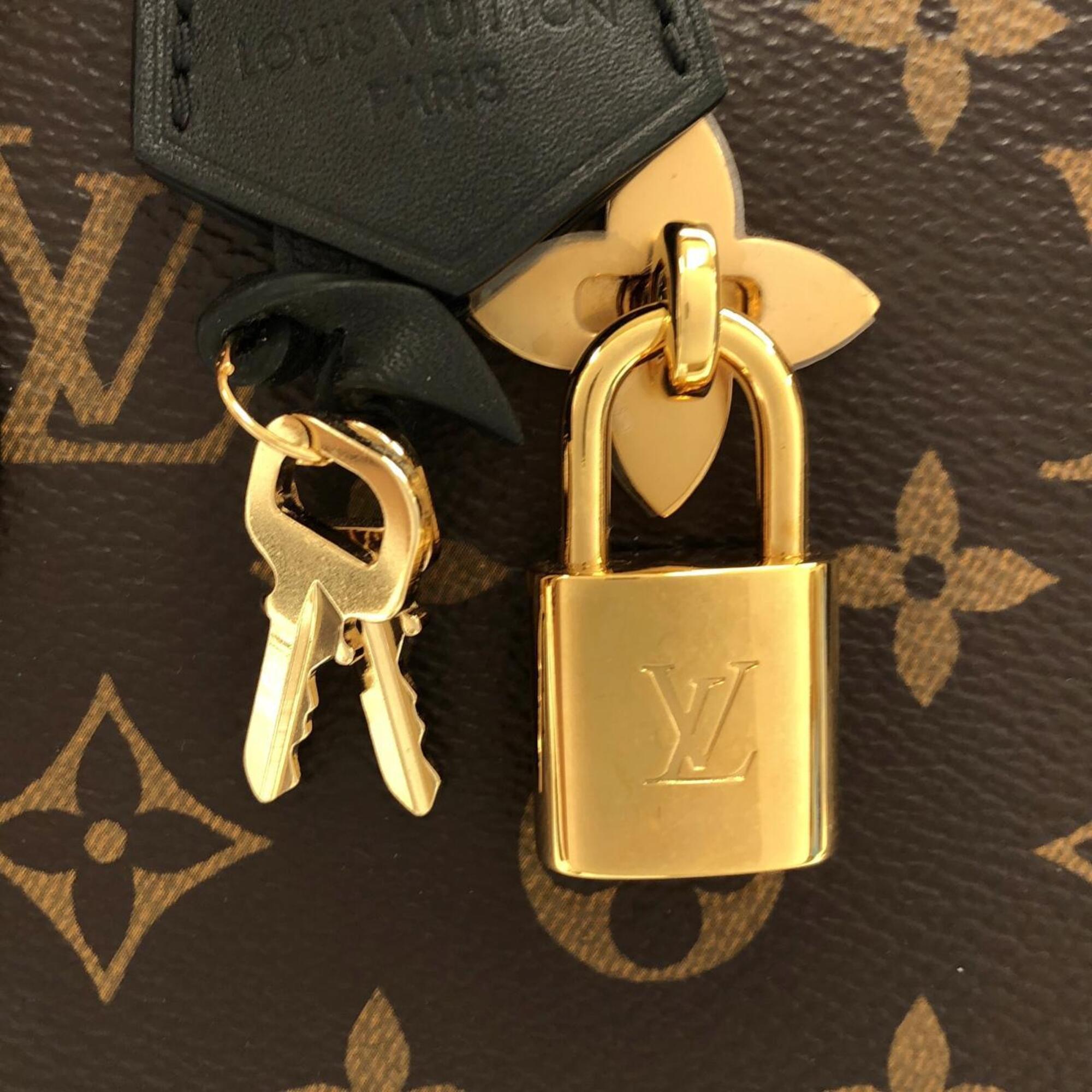Louis Vuitton Black Marron Coated Canvas Handbag (Pre-Owned)