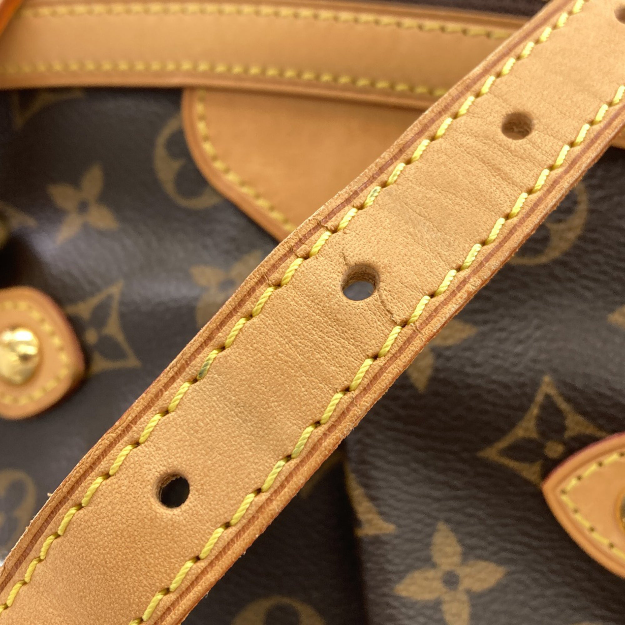 Louis Vuitton Monogram Monogram Monogram Tote Bag (Pre-Owned)
