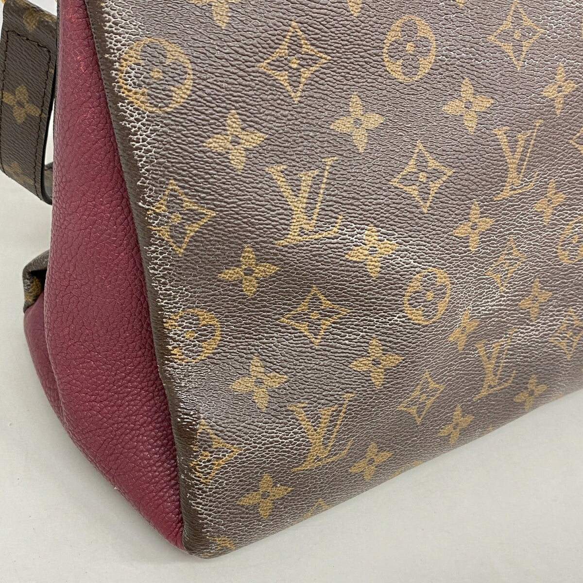 Louis Vuitton Raisin Handbag (Pre-Owned)