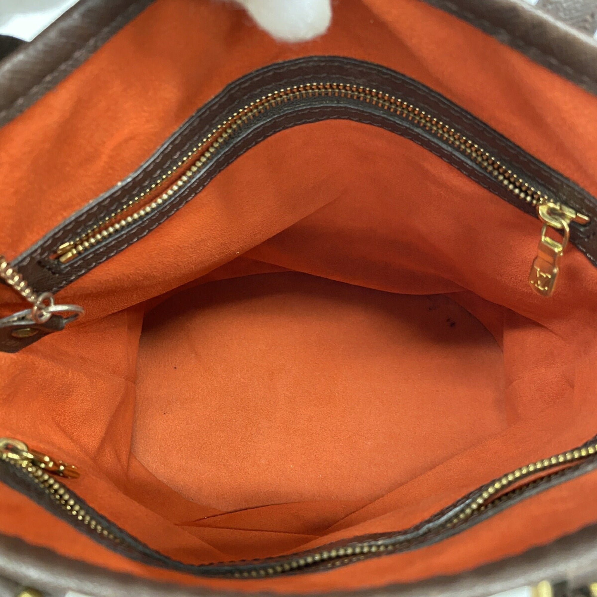 Louis Vuitton Ebene Tote Bag (Pre-Owned)