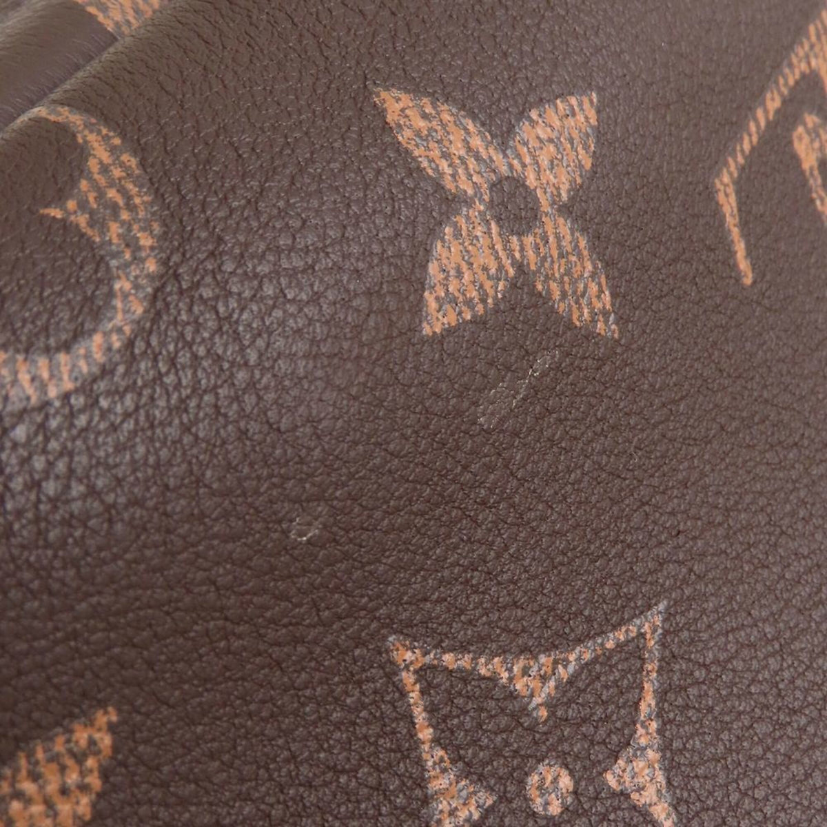 Louis Vuitton Monogram Brown Leather Tote Bag (Pre-Owned)