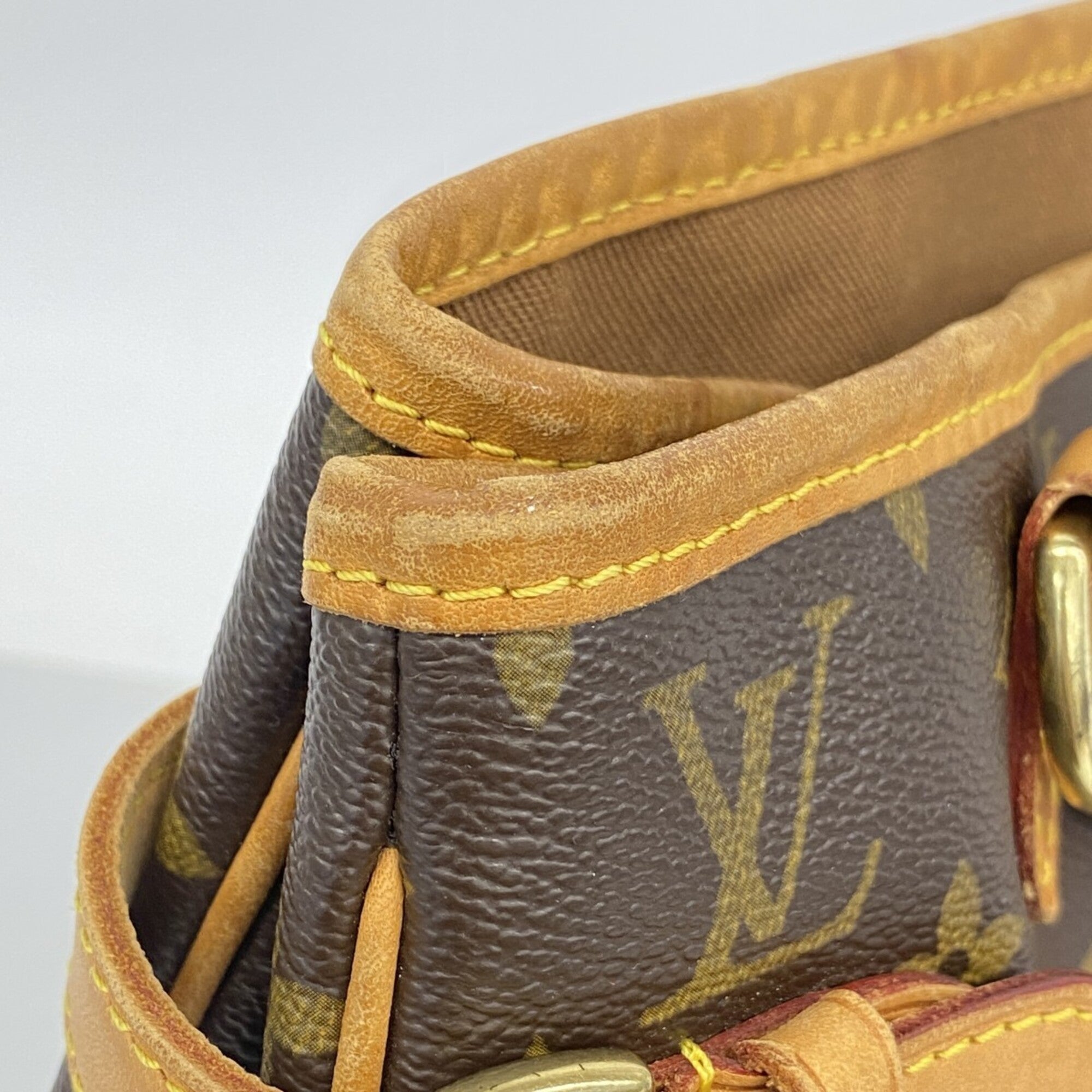 Louis Vuitton Brown Tote Bag (Pre-Owned)