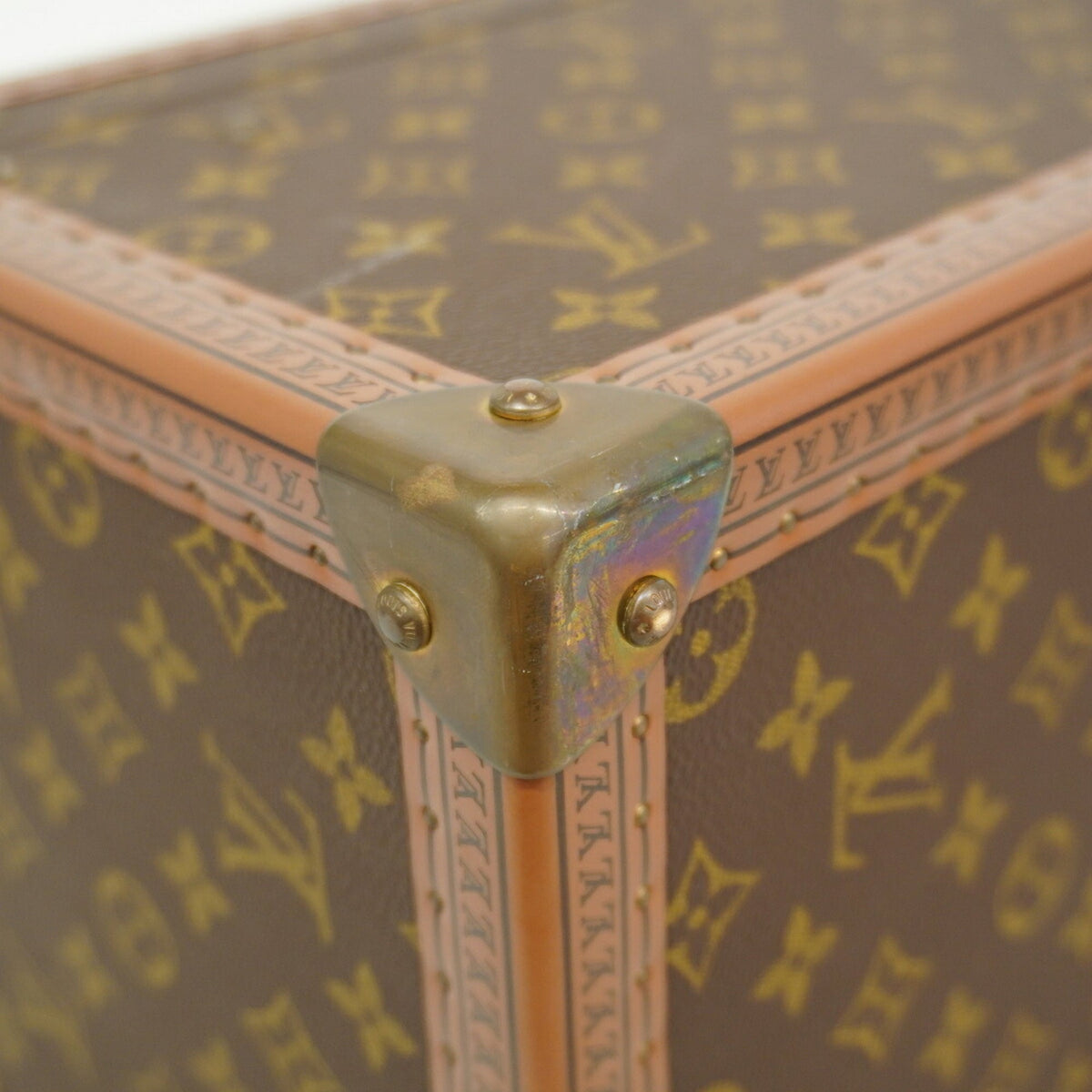 Louis Vuitton Brown Vanity Bag (Pre-Owned)