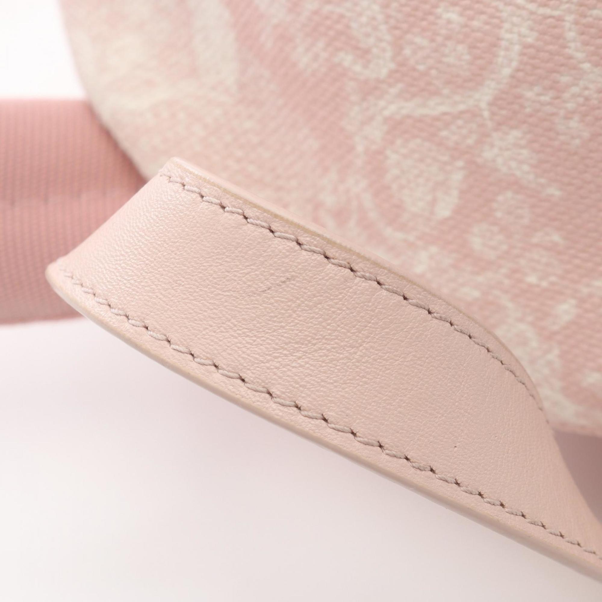 Christian Dior Pink Canvas Leather Backpack (Pre-Owned)