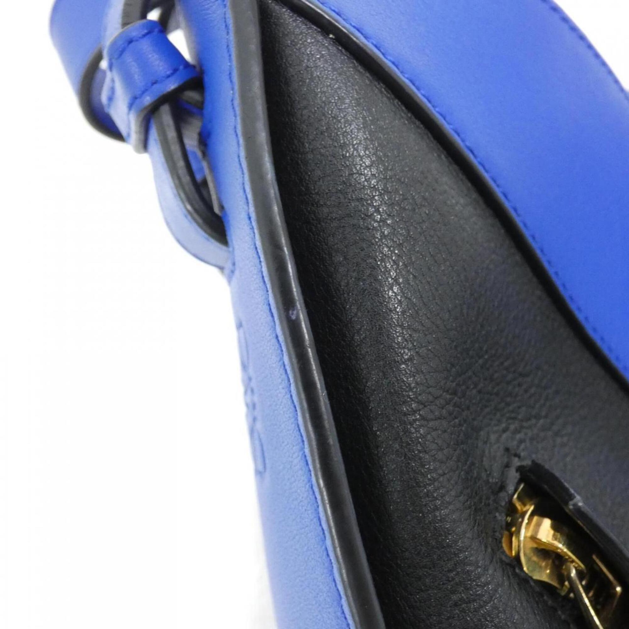 Loewe Black Electric Blue Shoulder Bag (Pre-Owned)