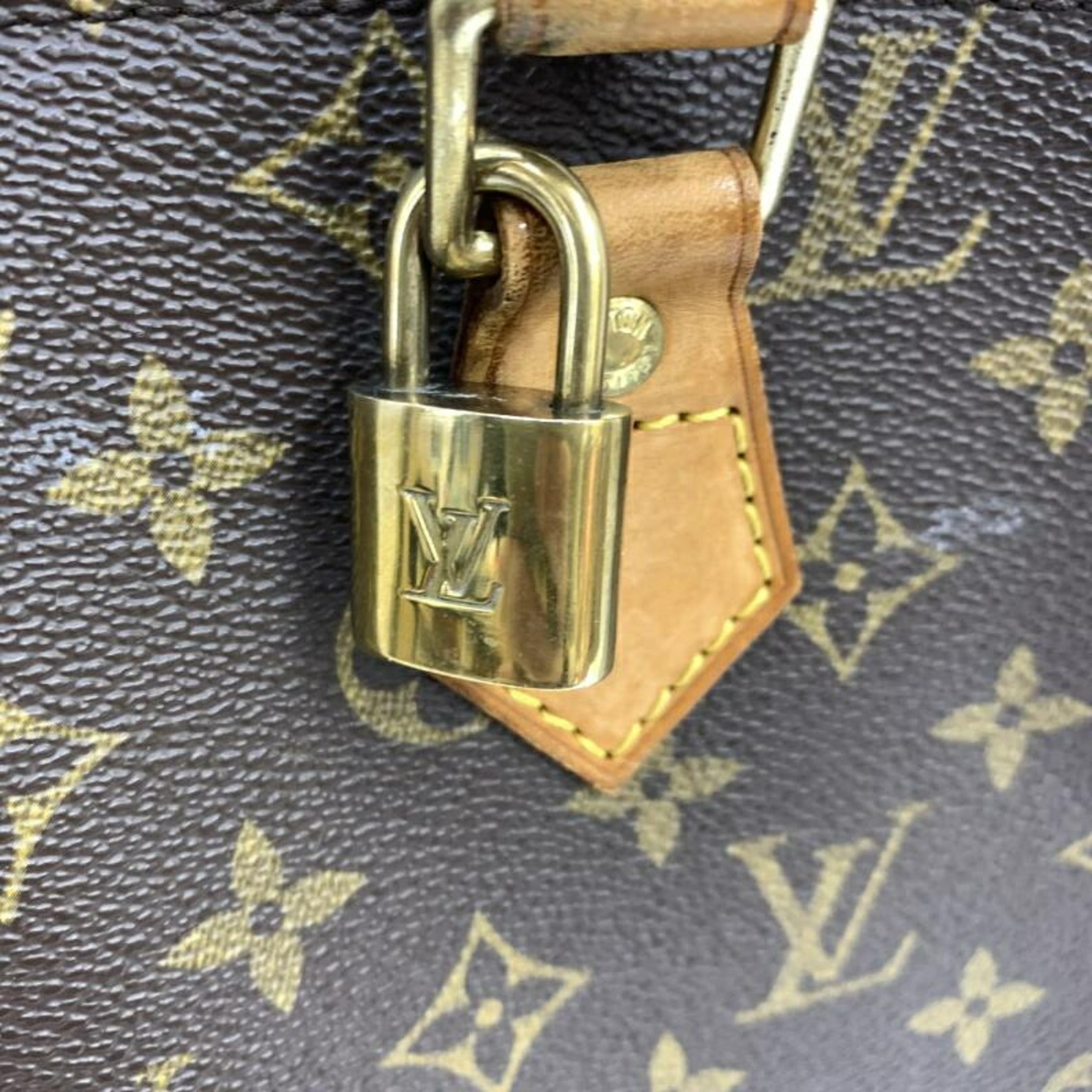Louis Vuitton Brown Handbag (Pre-Owned)