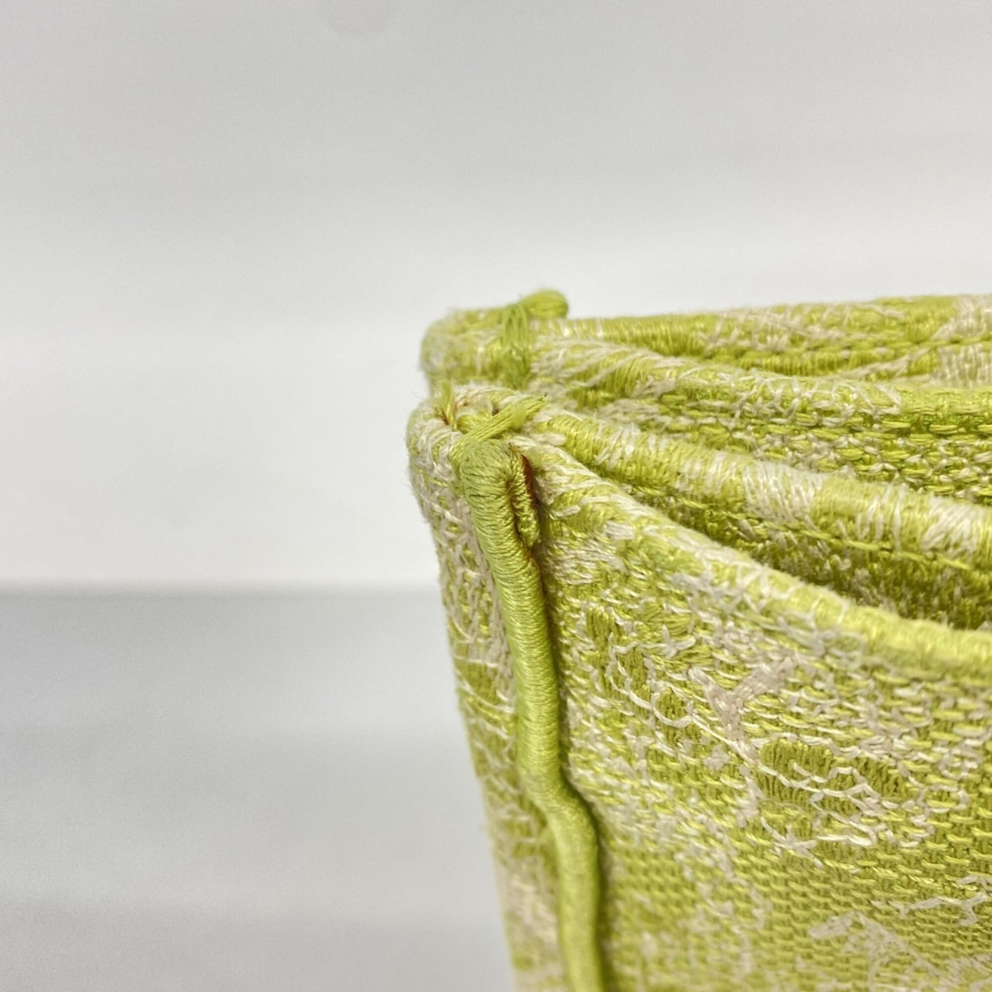 Christian Dior Light Green Canvas Tote Bag (Pre-Owned)