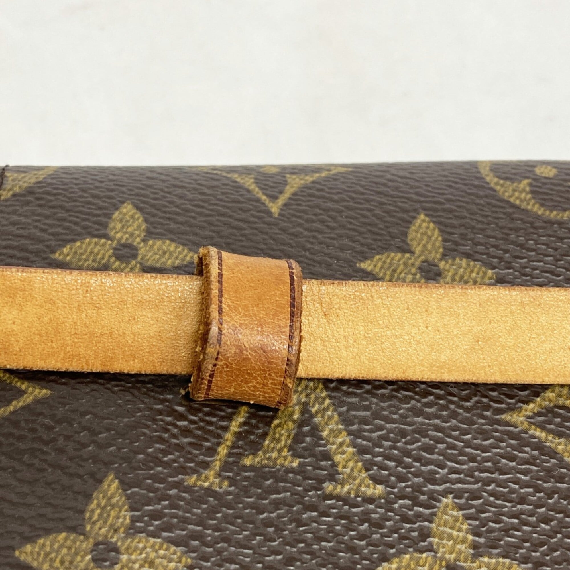 Louis Vuitton Brown Fanny Pack (Pre-Owned)