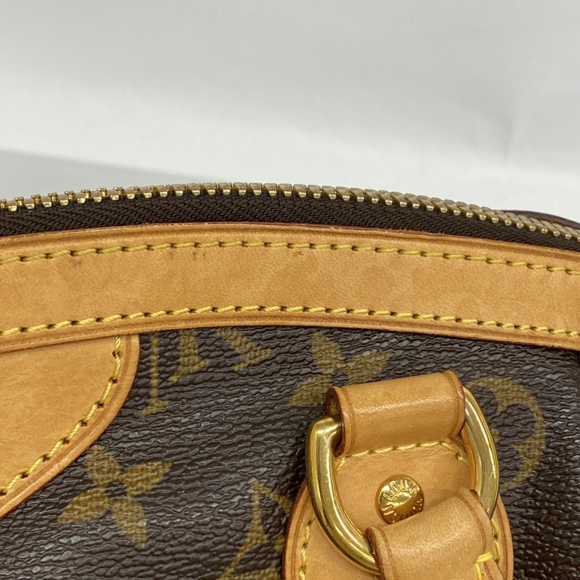 Louis Vuitton Brown Handbag (Pre-Owned)