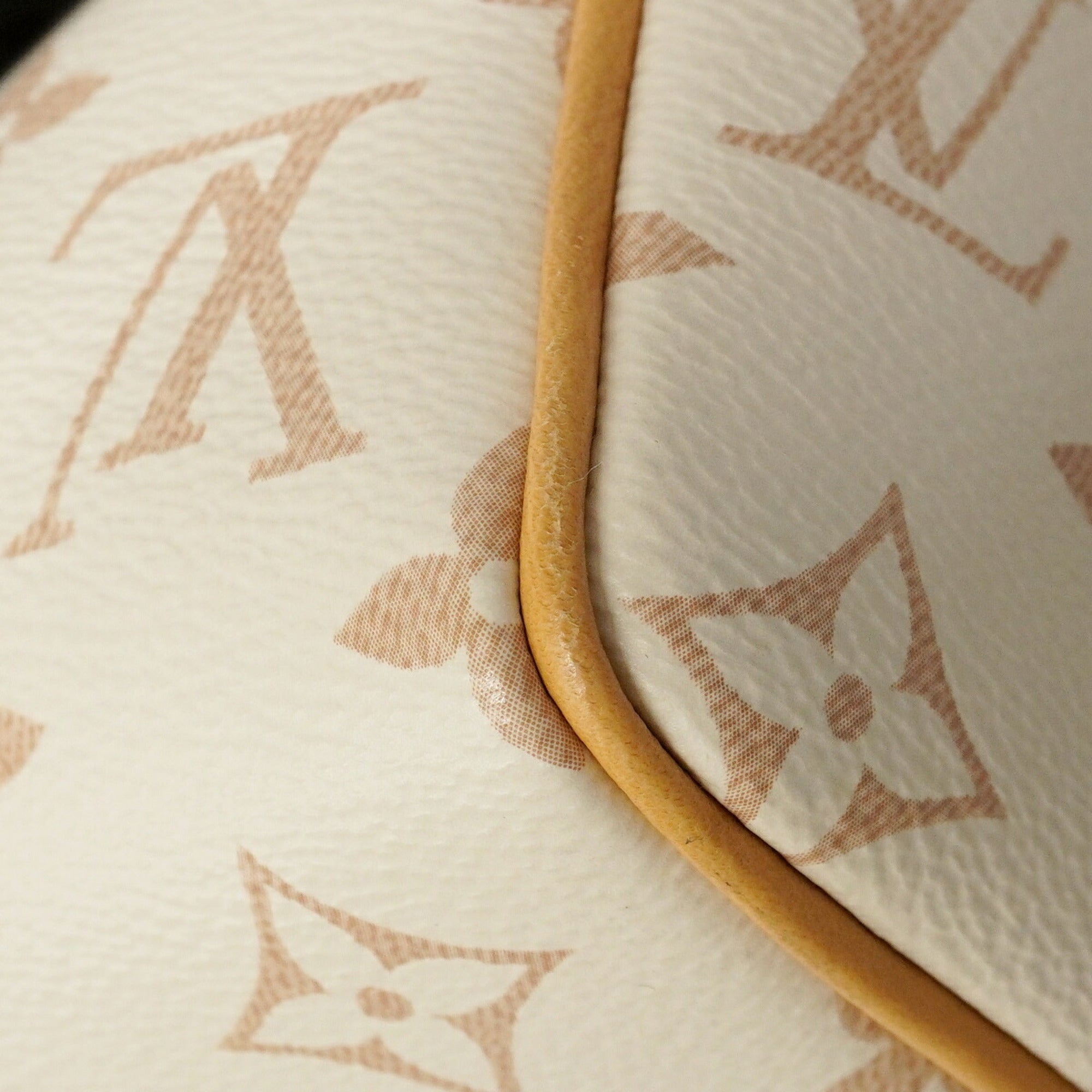 Louis Vuitton Beige Black Handbag (Pre-Owned)