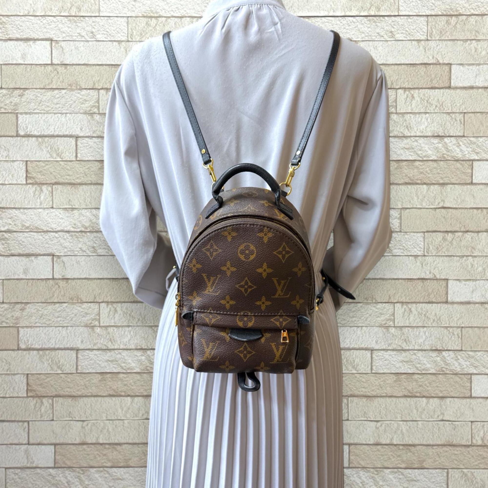 Louis Vuitton Brown Monogram Canvas Backpack (Pre-Owned)