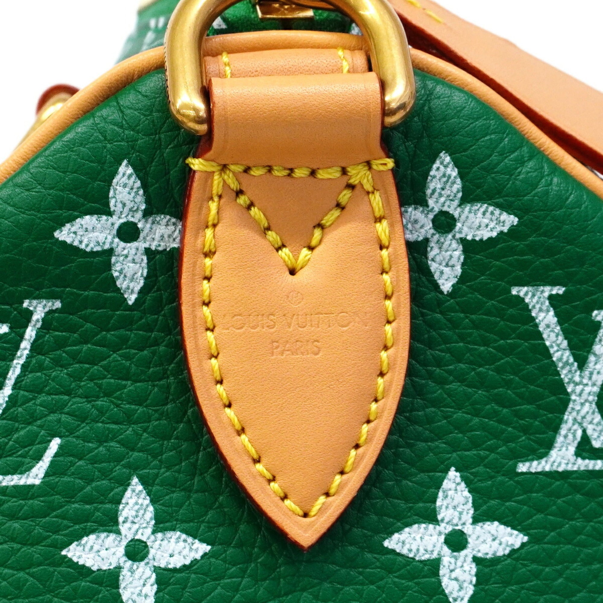 Louis Vuitton Vert Handbag (Pre-Owned)